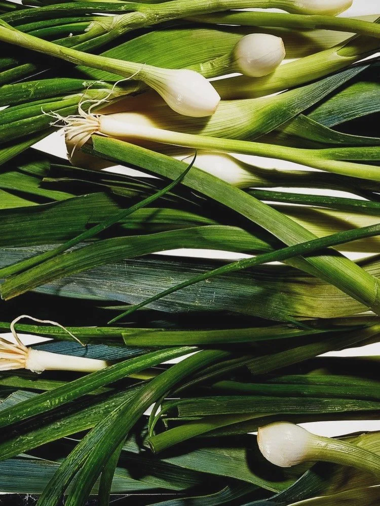 A RECIPE FOR WHAT&rsquo;S IN SEASON. Crispy sprouts, caramelized carrots, and little bit of Romesco magic. January produce is all about the roast. We&rsquo;ve put together a quick harvest bowl featuring what&rsquo;s currently in season. Simple, seaso