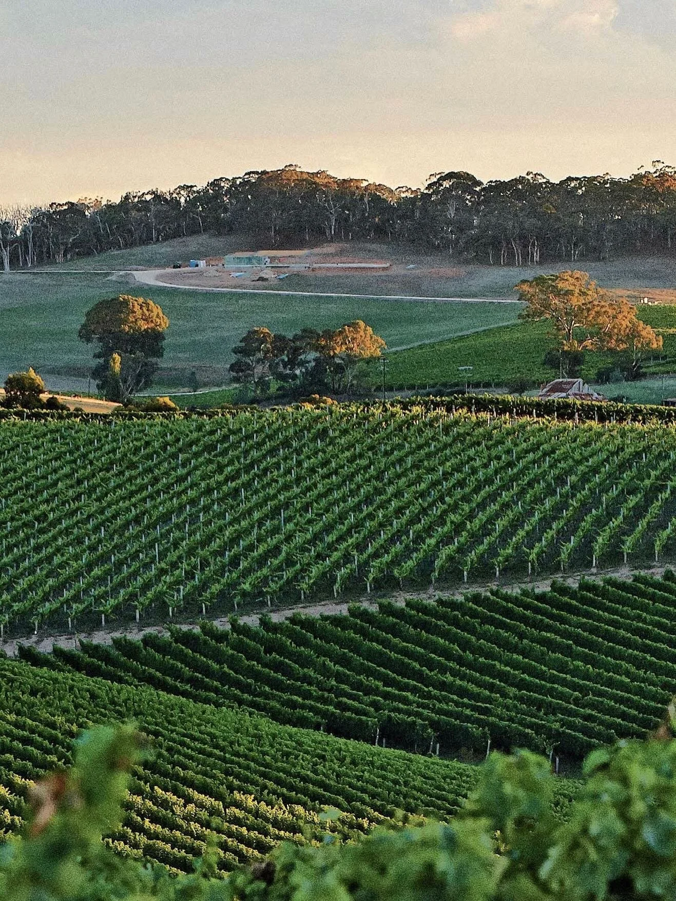 Let today&rsquo;s tasting carry you from rainy Jackson Hole to the rolling vineyards of South Australia. Heirloom Vineyards Pinot Noir comes from hand-tended vines in Adelaide Hills, whole-cluster fermented and aged in French oak for a wine that&rsqu