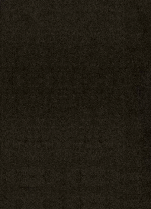 Khalili_Mohammad Javad_C_EPF 2025_Iran.gif