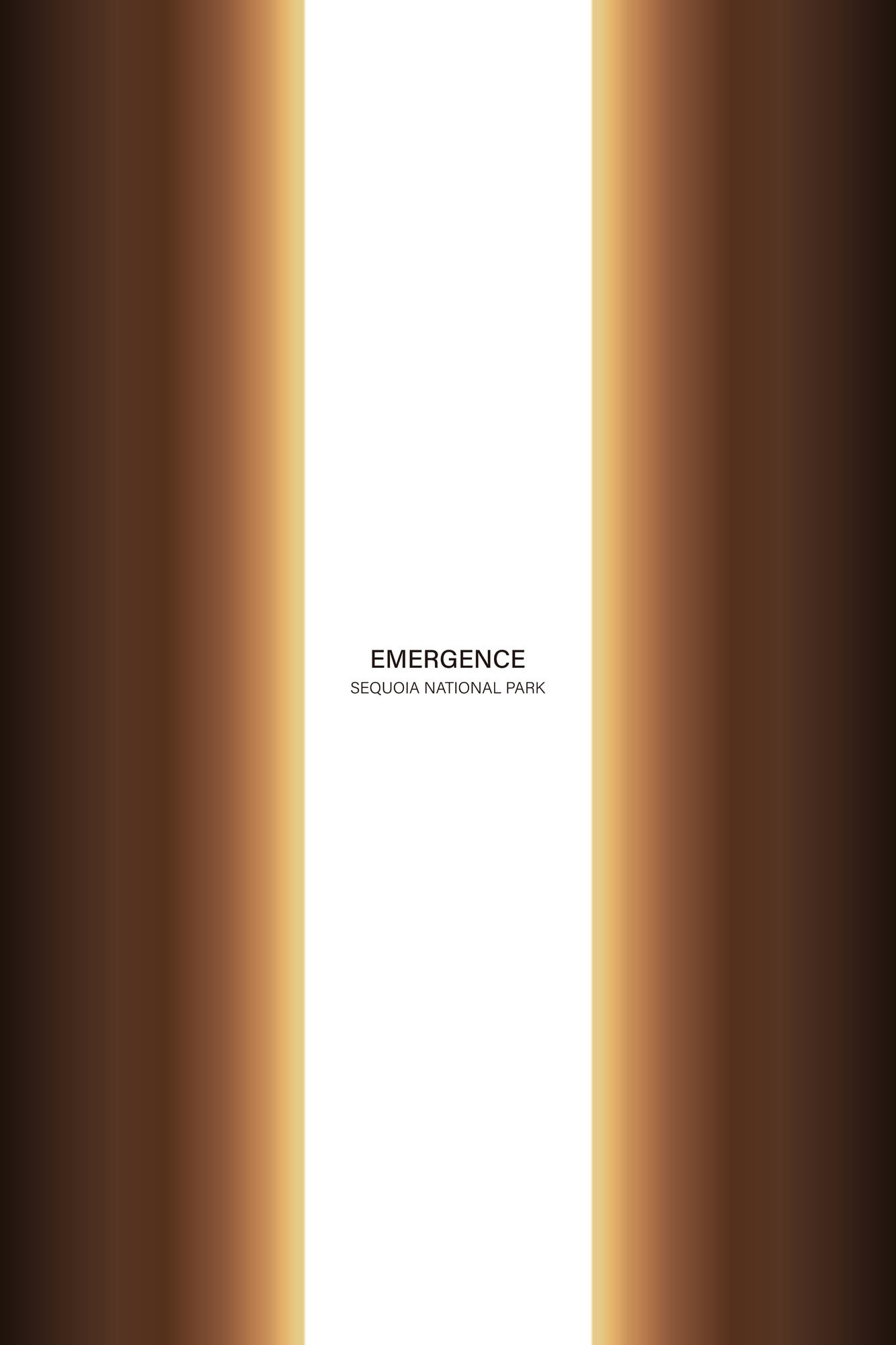 Ziming Chen, Sequoia National Park, China.jpg