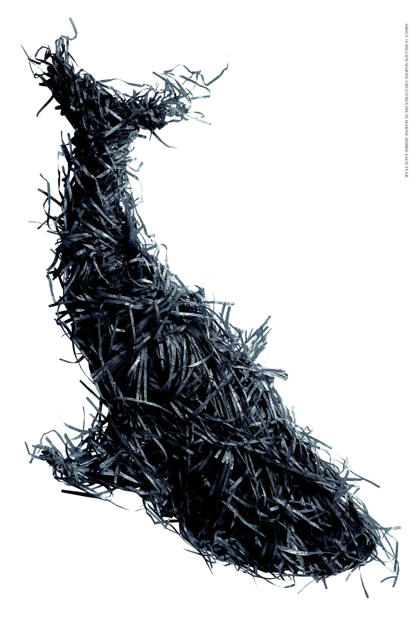 Peng_Sun_Marine debris_A_China.jpg