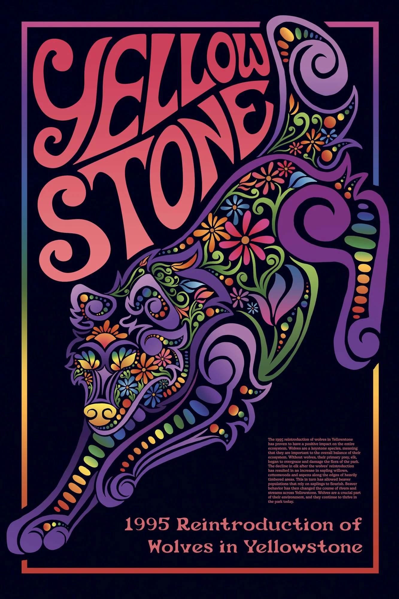 Zeis-Miller_Gwenyth_D_1995 Reintroduction of Wolves to Yellowstone Wolf_USA.jpg