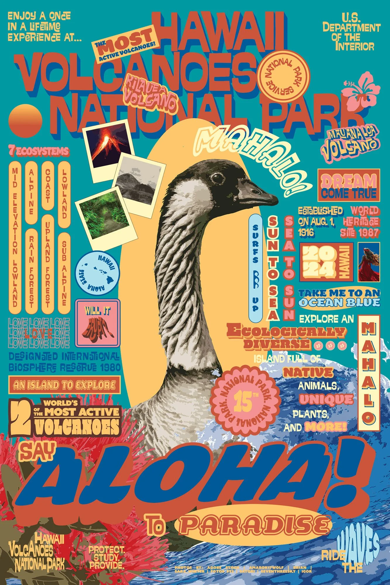 Vivanh-Vong_Aejay_D_Hawaii Volcanoes National Park_USA.jpg