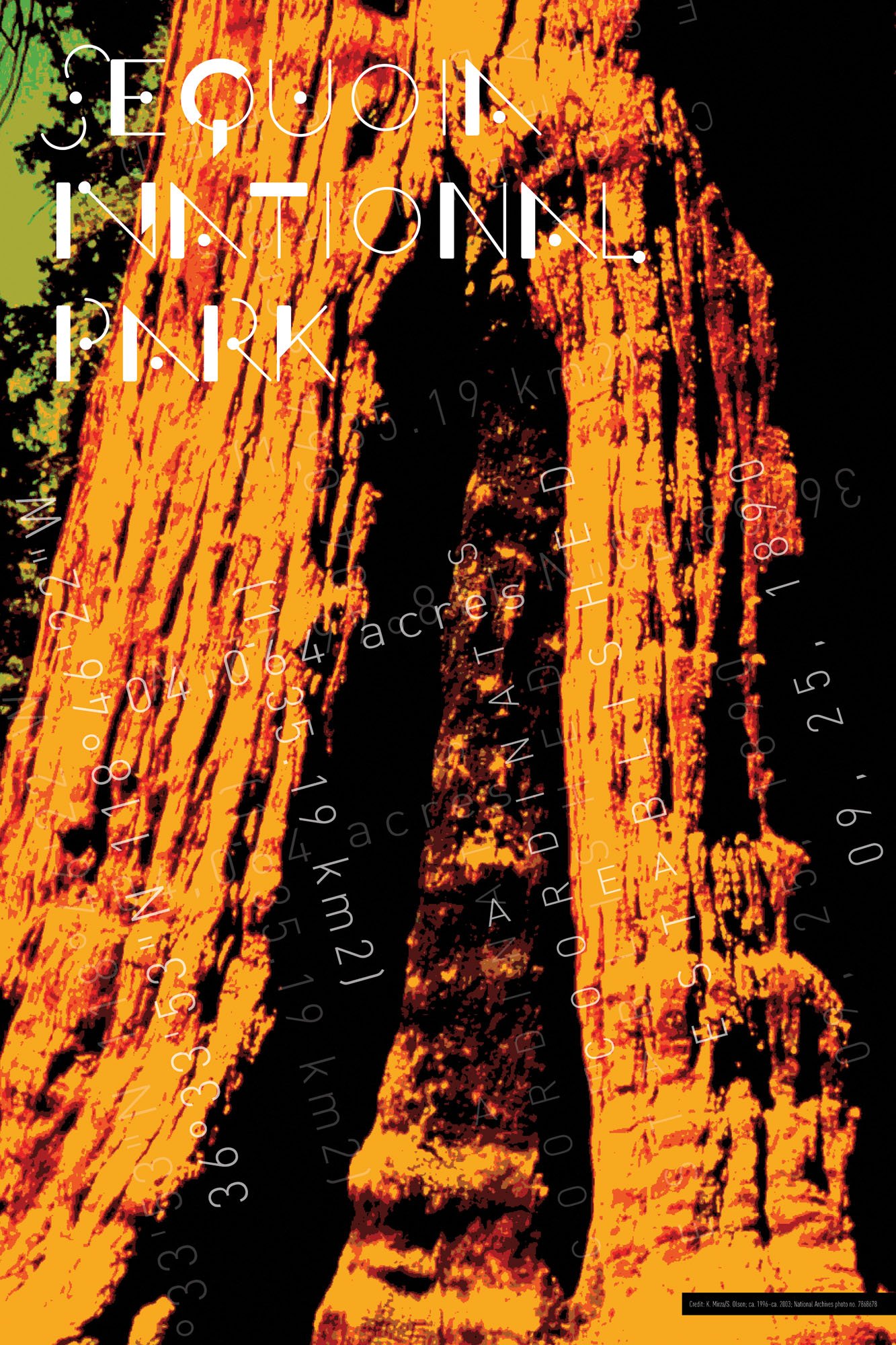 Jessica_Miles_D_Sequoia National Park_USA.jpg