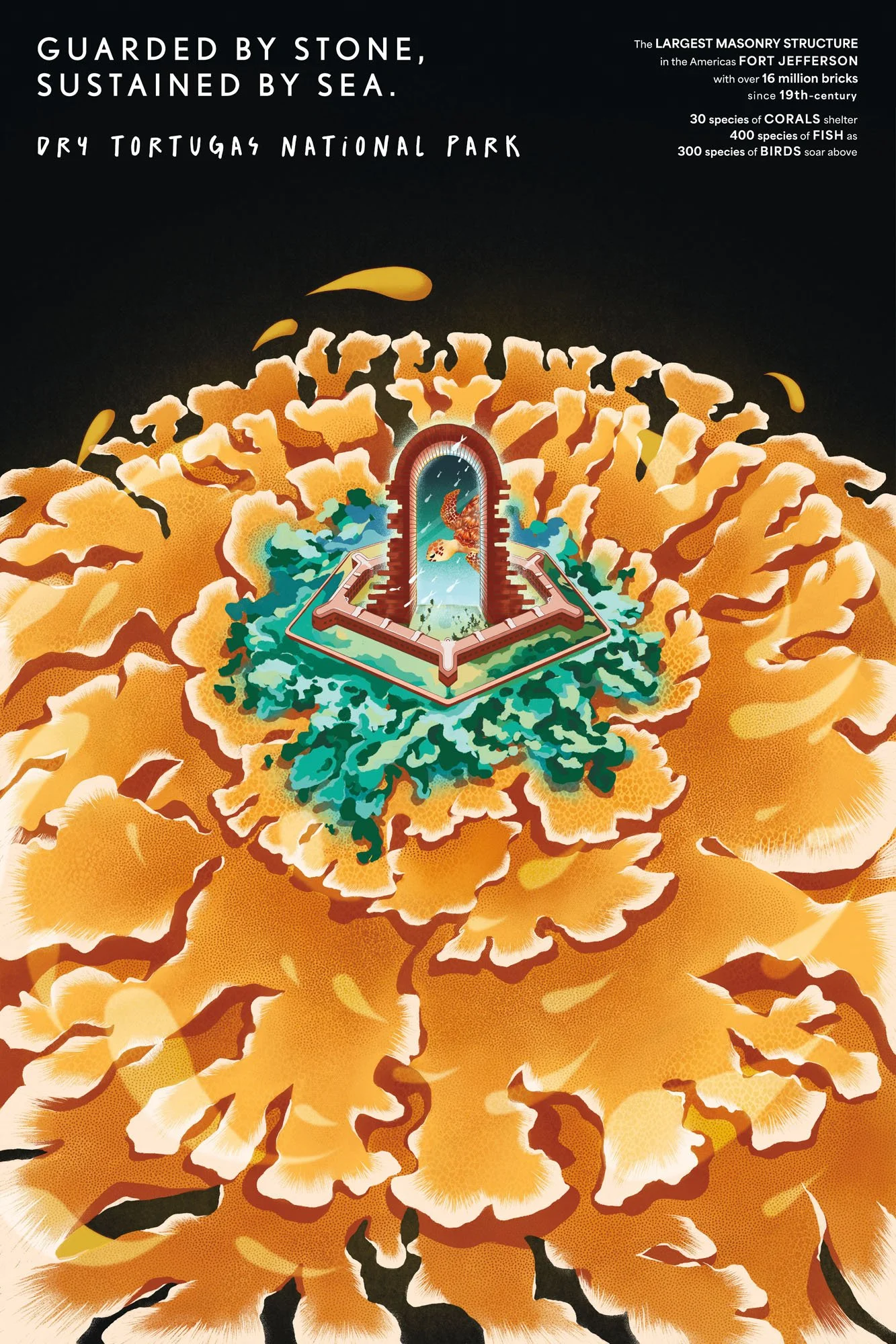 Ton_Ngoc_D_Dry Tortugas National Park_Vietnam.jpg