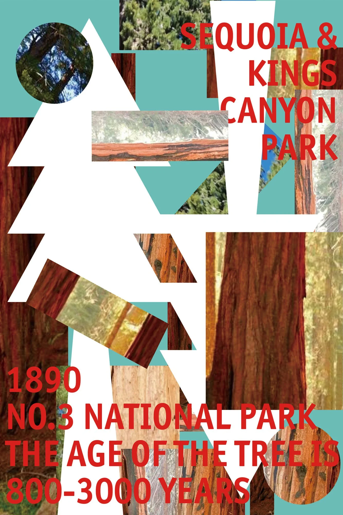 Huiran Zhu, Sequoia and Kings Canyon National Parks, China.jpg