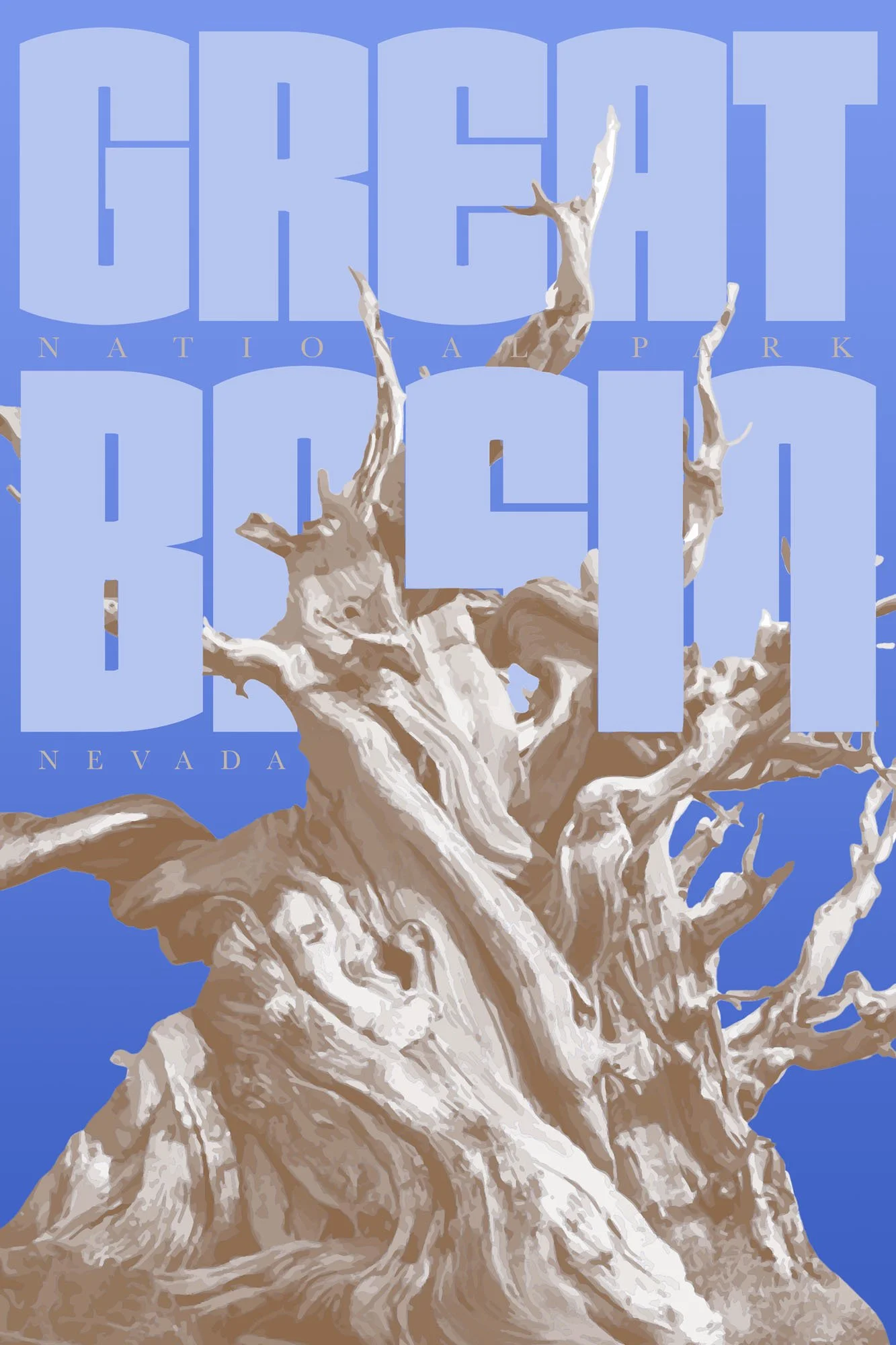 Sneden Grace, D, Roots Of Great Basin, USA.jpg