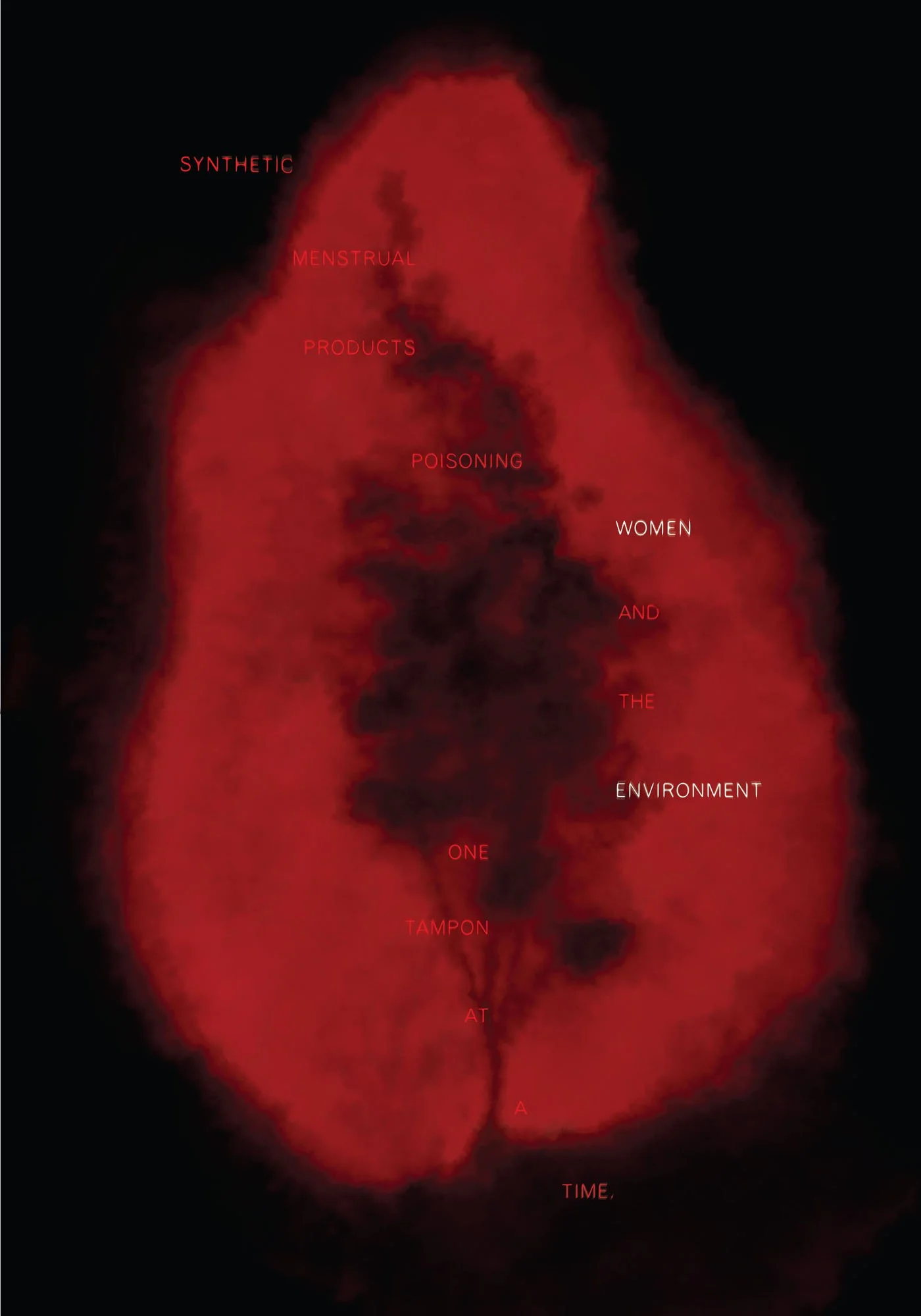 Hernandez_Gaby_A_Women and the Environment_USA.jpg