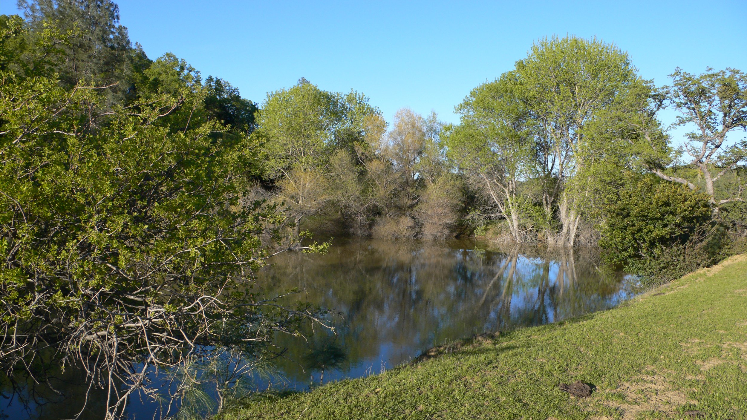 P1000116.JPG