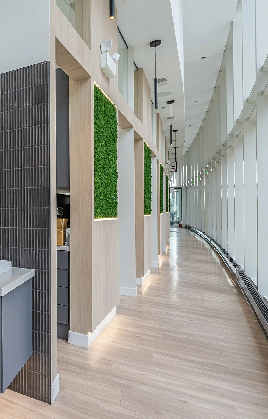 A modern, bright hallway with wood flooring, green wall accents, and a curved glass wall with vertical white panels.