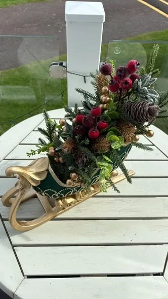 sleigh x2.jpg