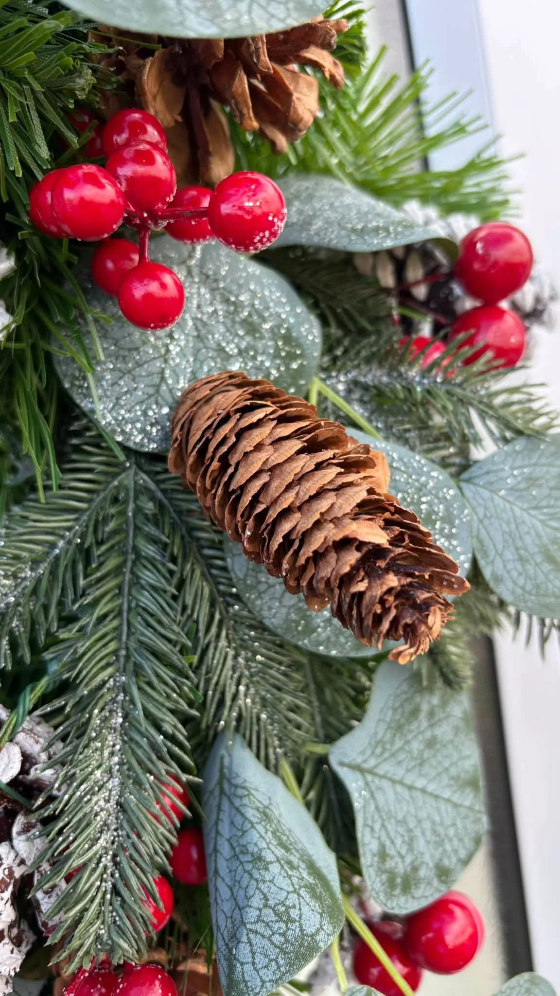 PINE X5.jpg