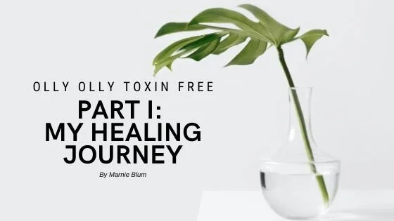 Olly Olly Toxin Free Part I: My Healing Journey