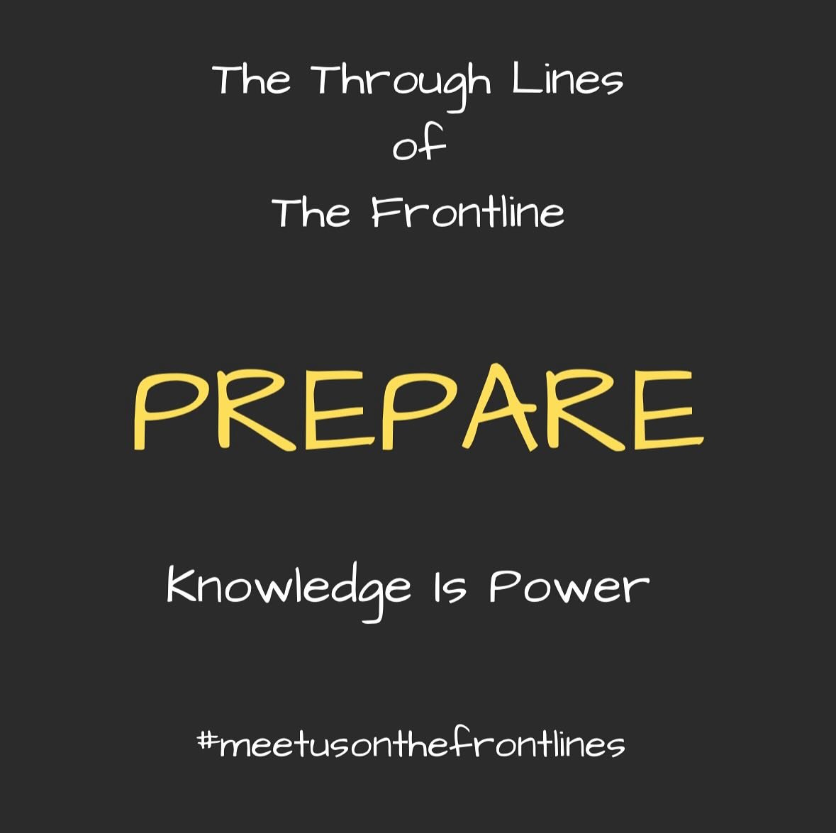 There are three components that connect the WHY behind the framework of Meet Us On the Frontlines. 

We call these components: The Through Lines. 

The through lines carry us towards values oriented action and hold integrity in our movements.

The fi