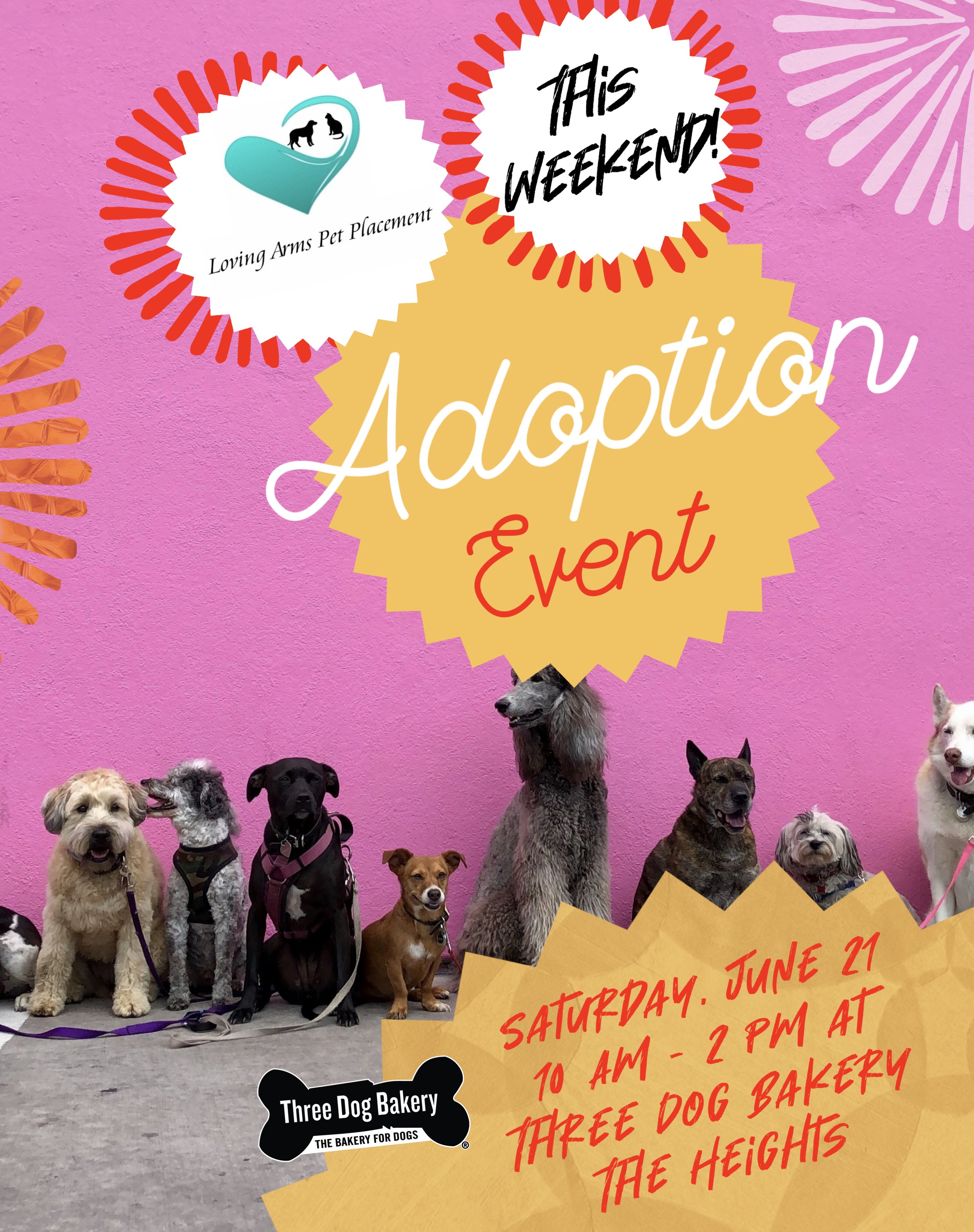 Rescue Event with Loving Arms Pet Placement