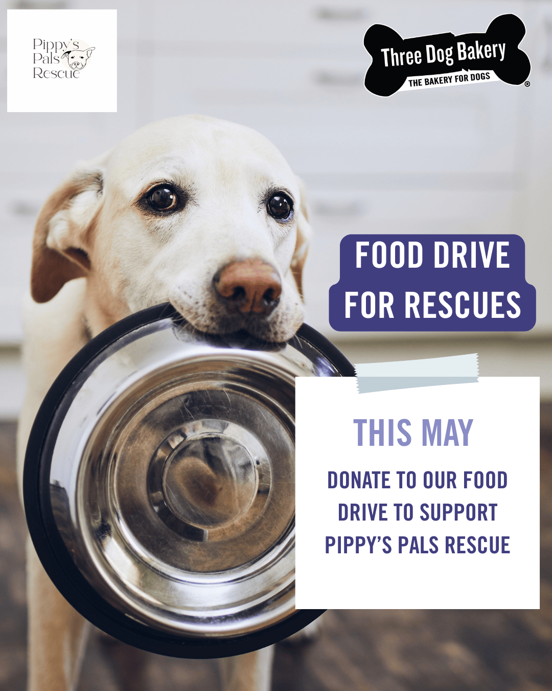 Dog Food Drive Benefitting Pippy's Pals Rescue