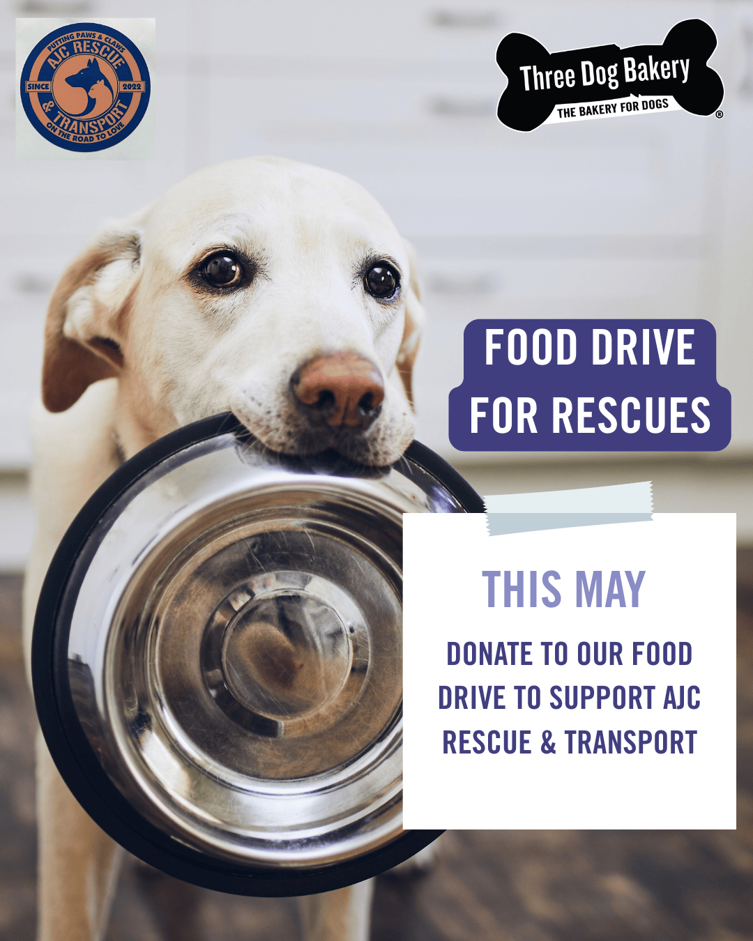 Dog Food Drive Benefitting 