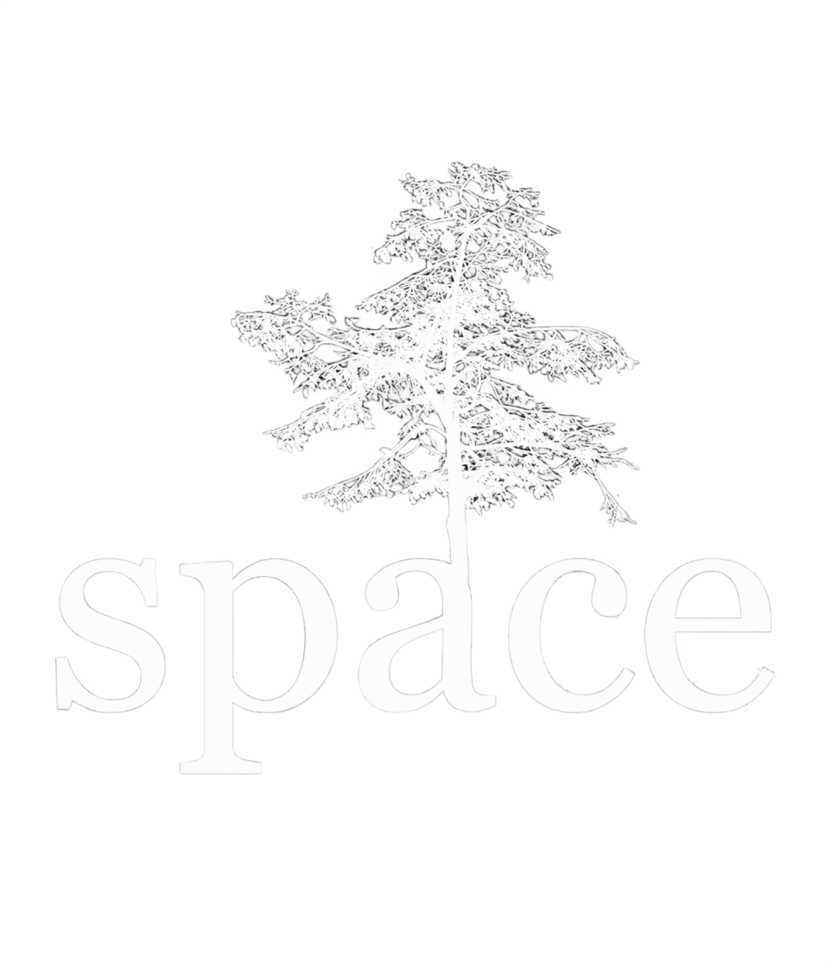The SPACE logo rendered in all white which is the word space in lower case serif font with a sycamore tree growing out of the back of the A