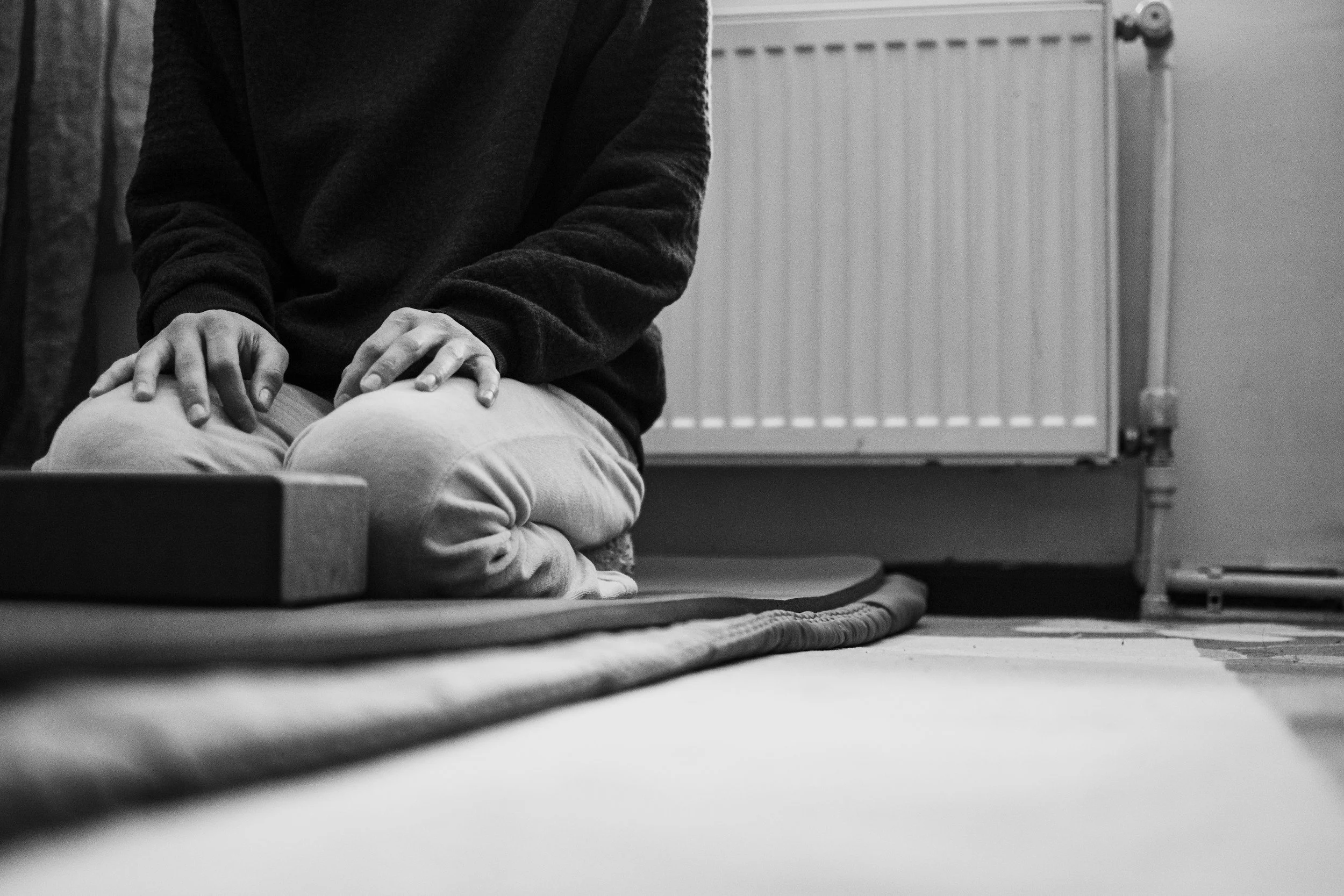 “Ice Out” Mutual Aid Donation Class - Qigong with Kari @ Sunna