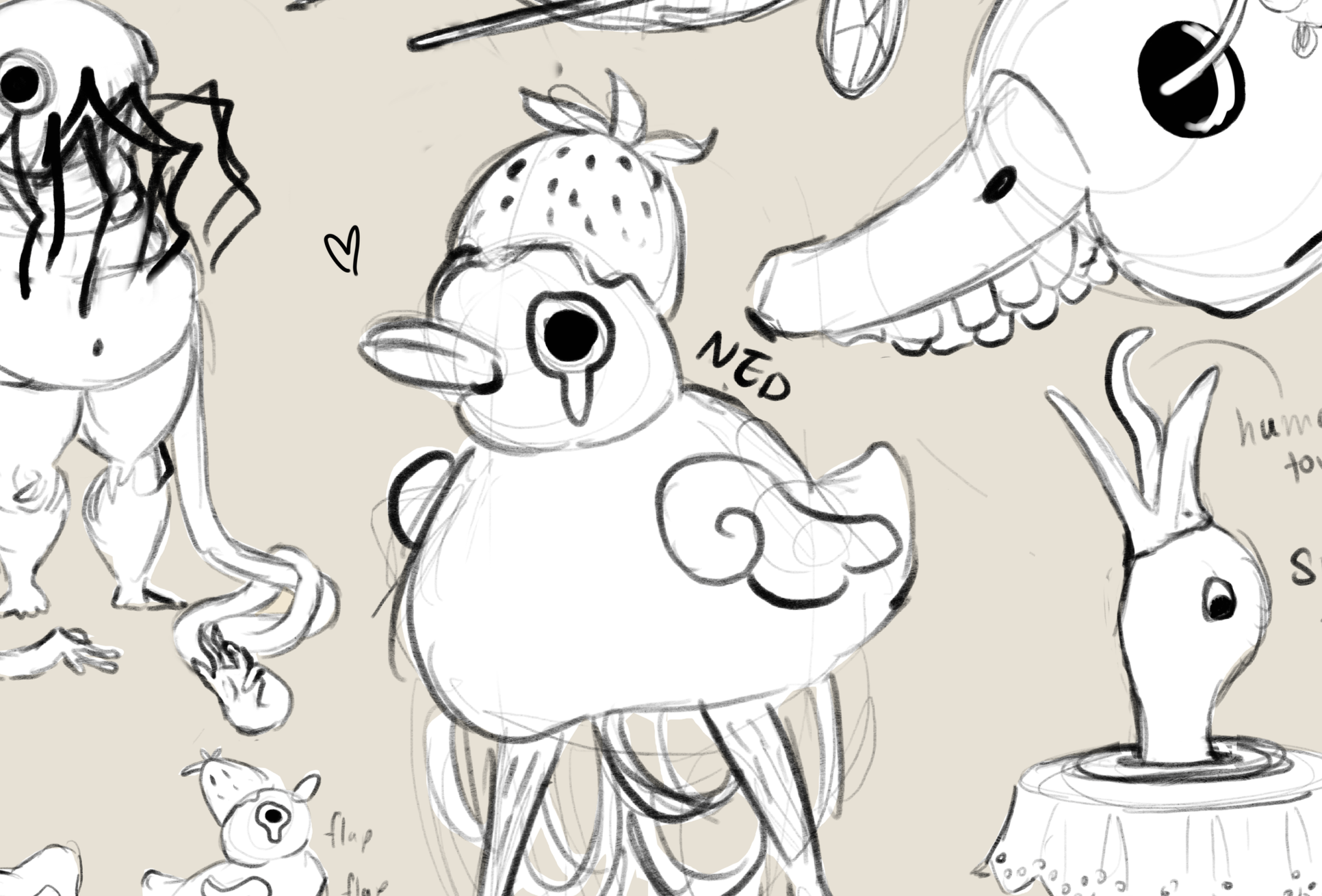 Duck Visual Process
