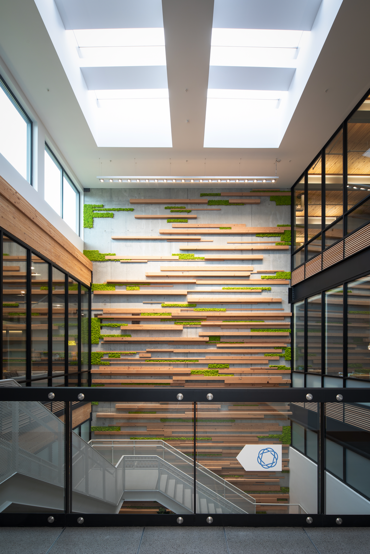 Skylight atrium view.png