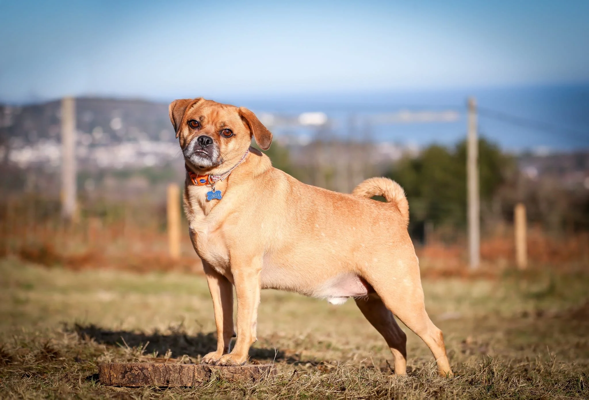 PHOTO-2024-01-31-16-50-18 2.jpg