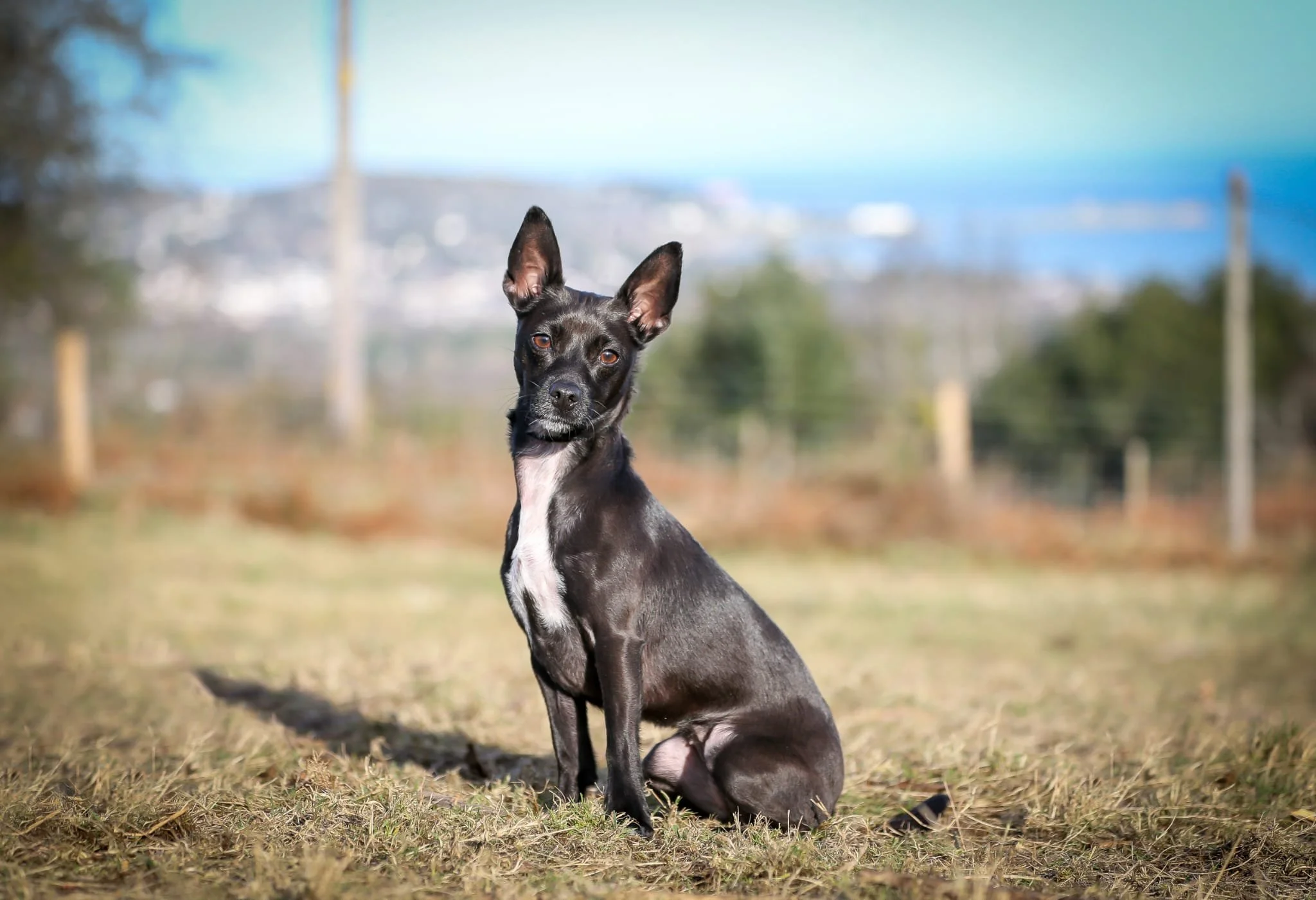 PHOTO-2024-01-31-16-50-19 2.jpg