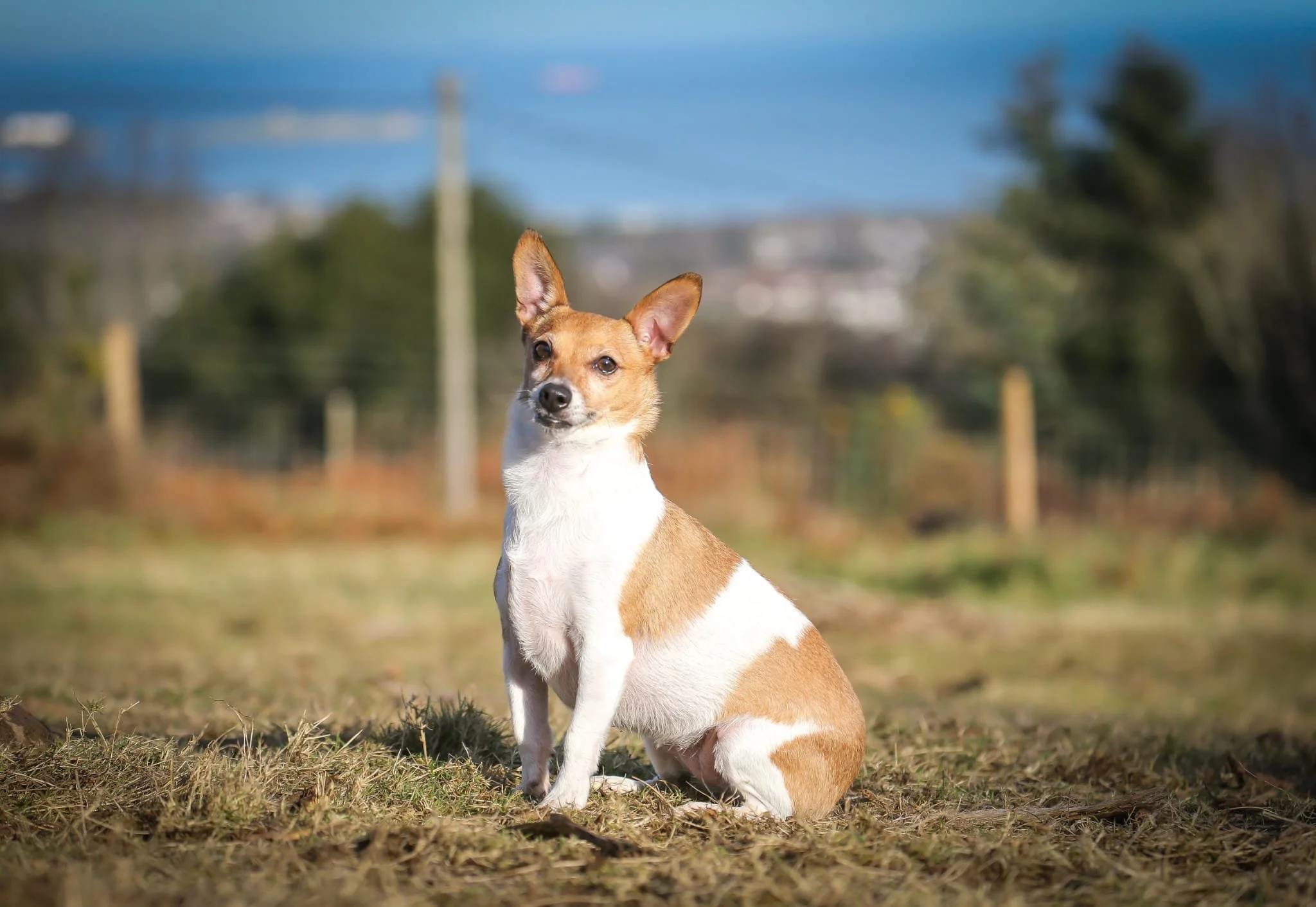 PHOTO-2024-01-31-16-50-19 3.jpg