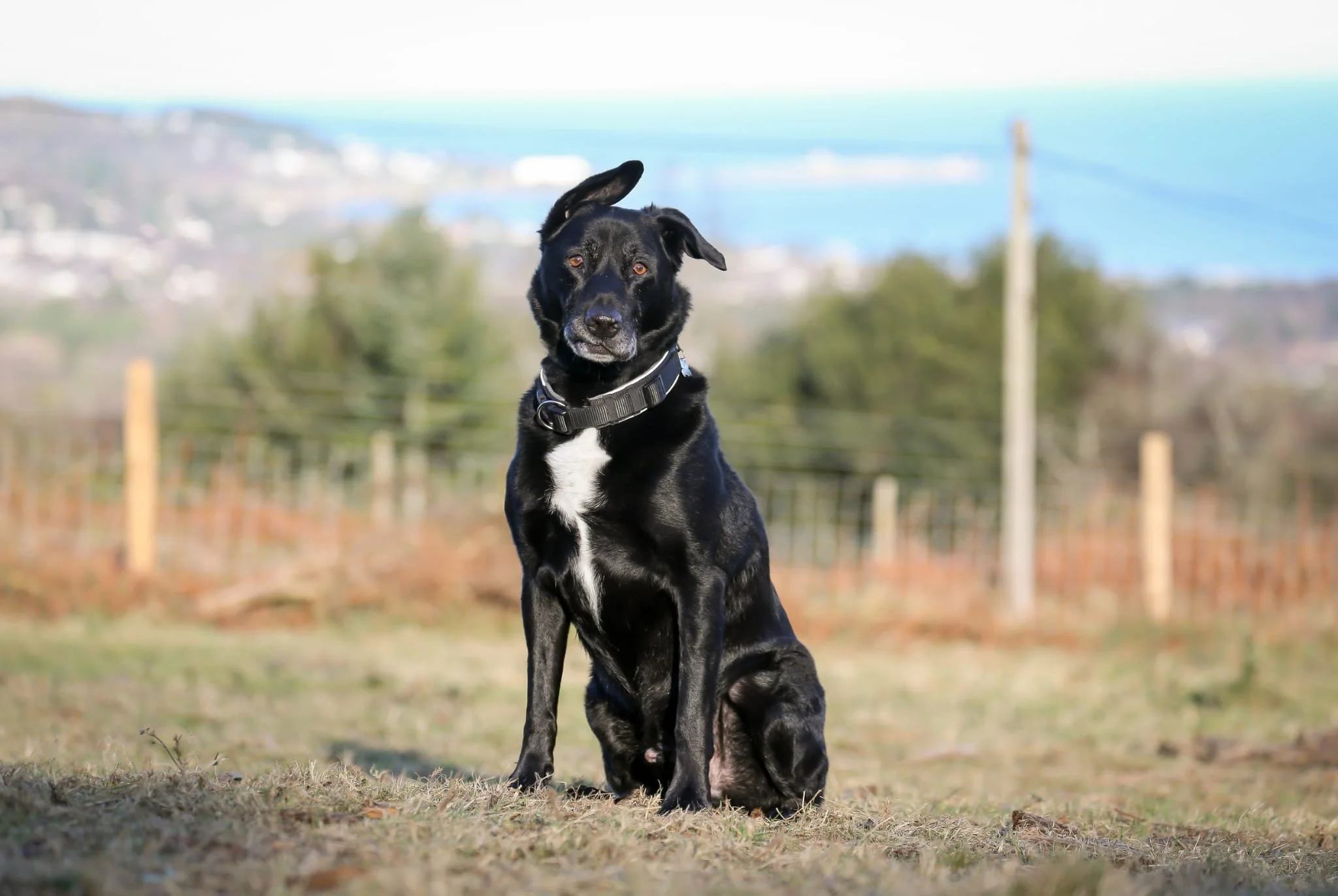 PHOTO-2024-01-31-16-50-20 2.jpg