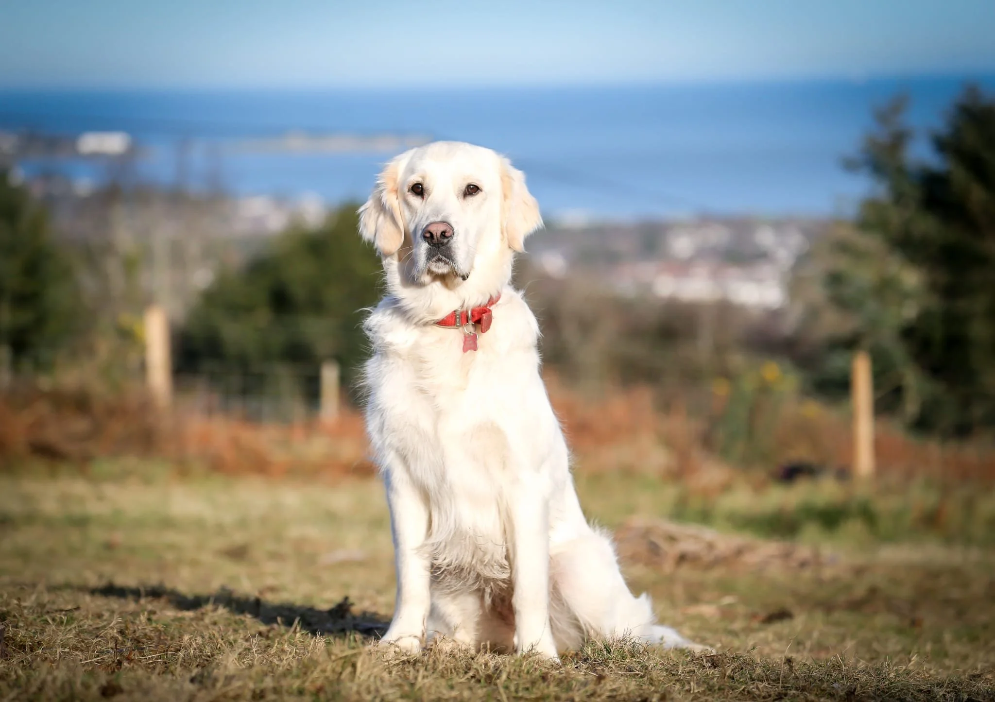 PHOTO-2024-01-31-16-50-22 2.jpg