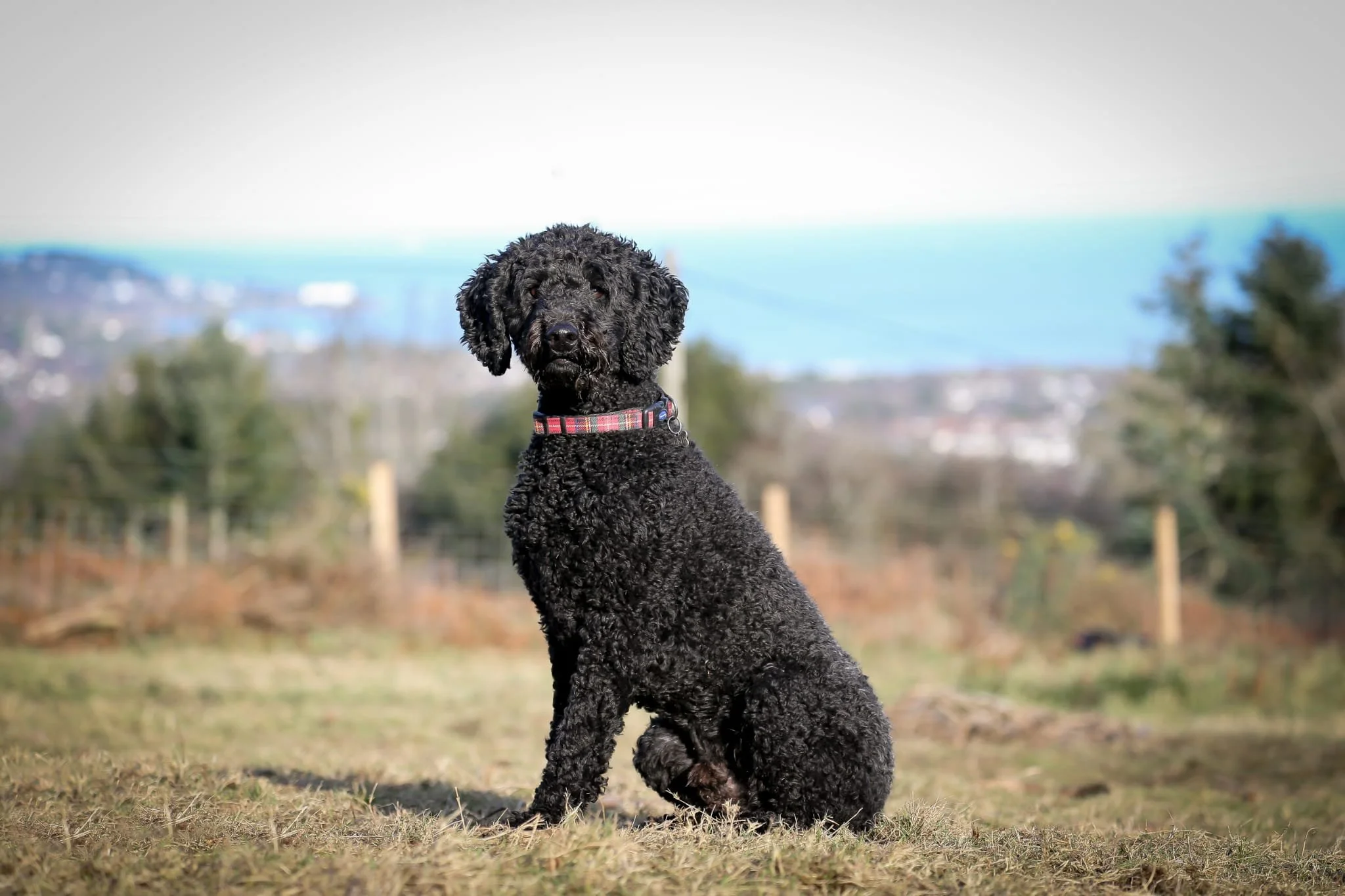 PHOTO-2024-01-31-16-50-24 3.jpg