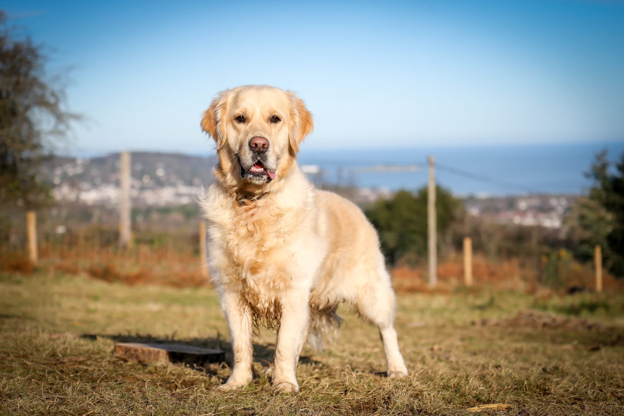 PHOTO-2024-01-31-16-50-25 2.jpg