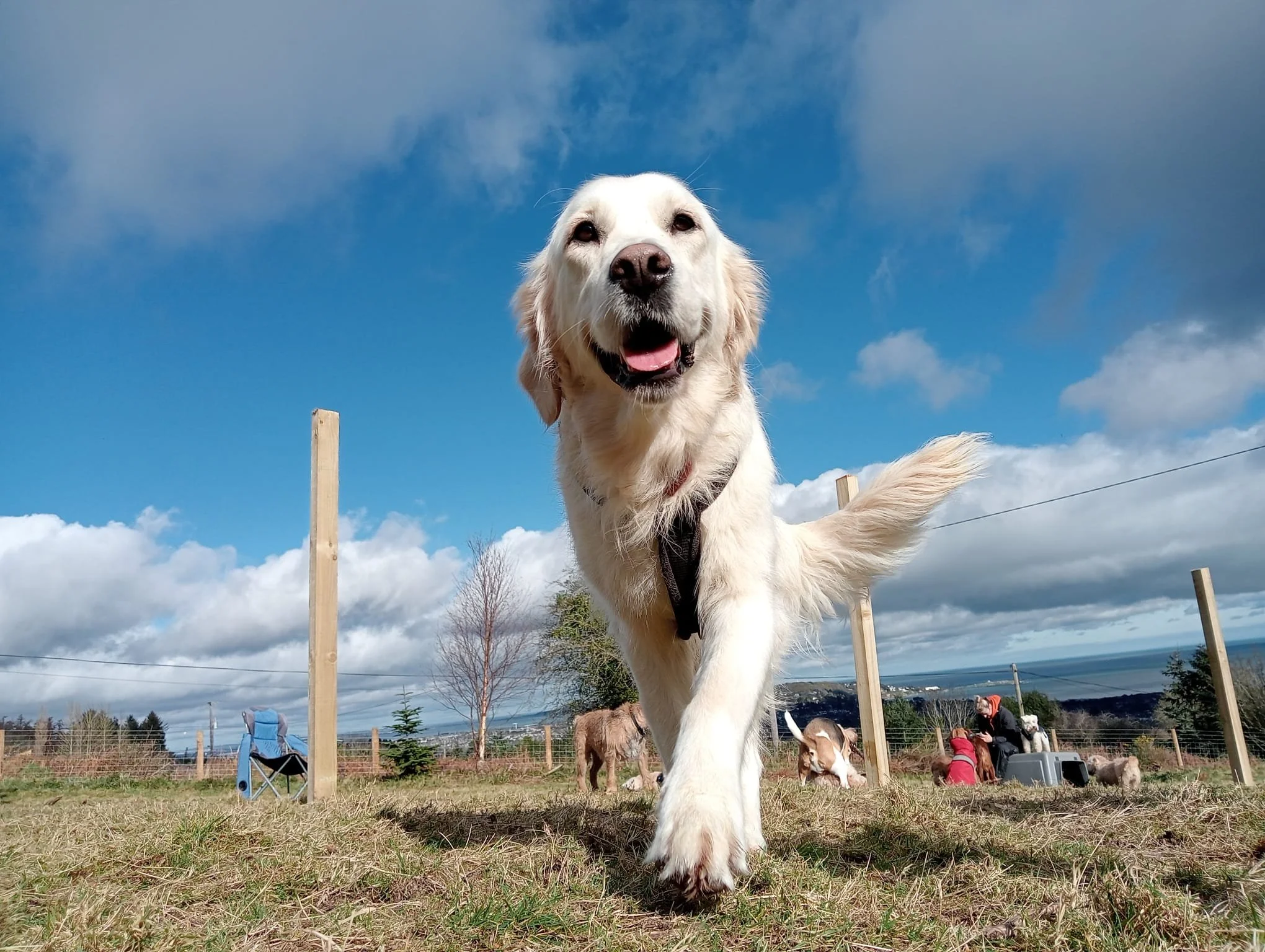 WhatsApp Image 2024-02-21 at 18.15.38.jpeg