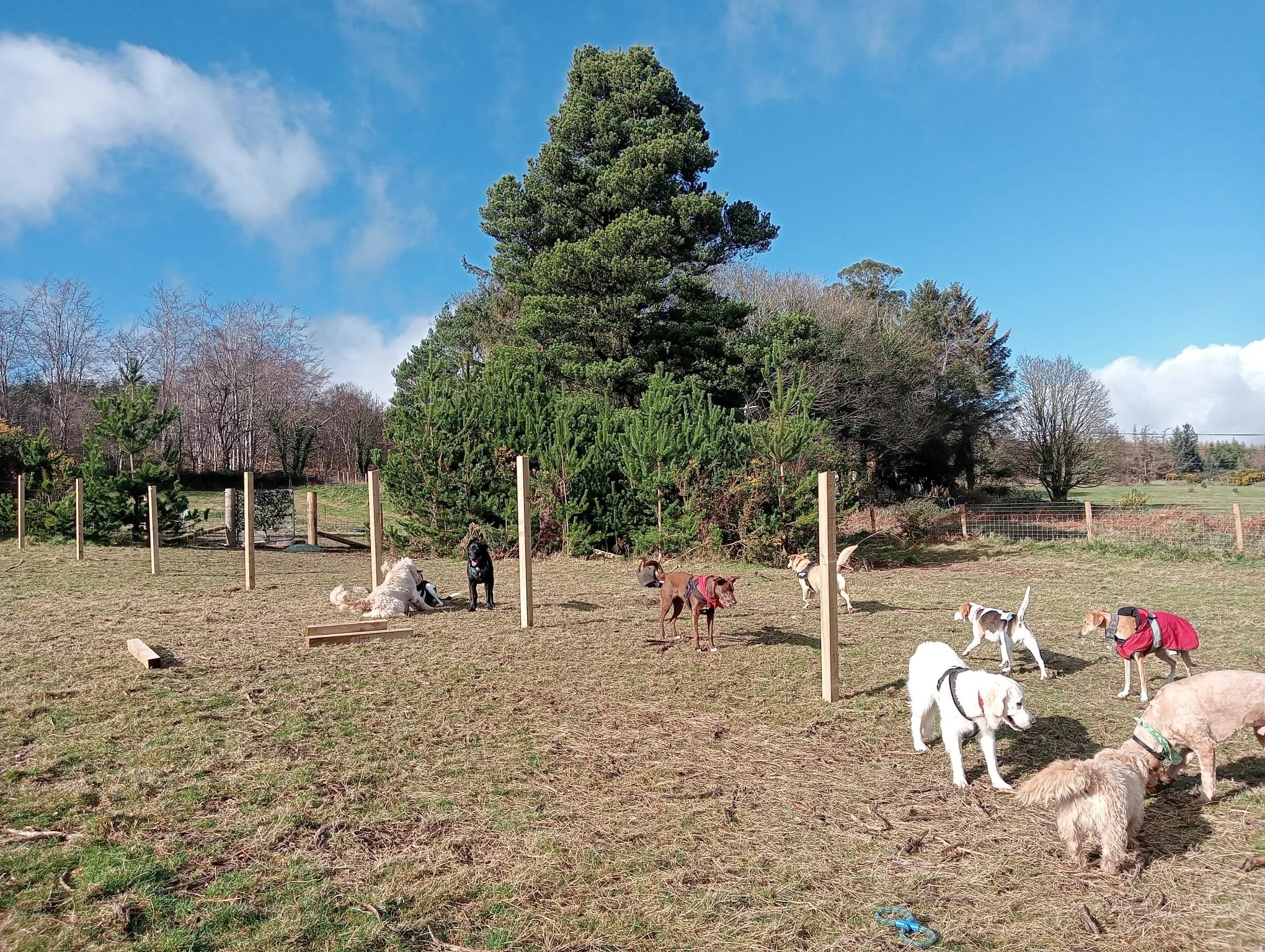 WhatsApp Image 2024-02-21 at 18.15.40.jpeg