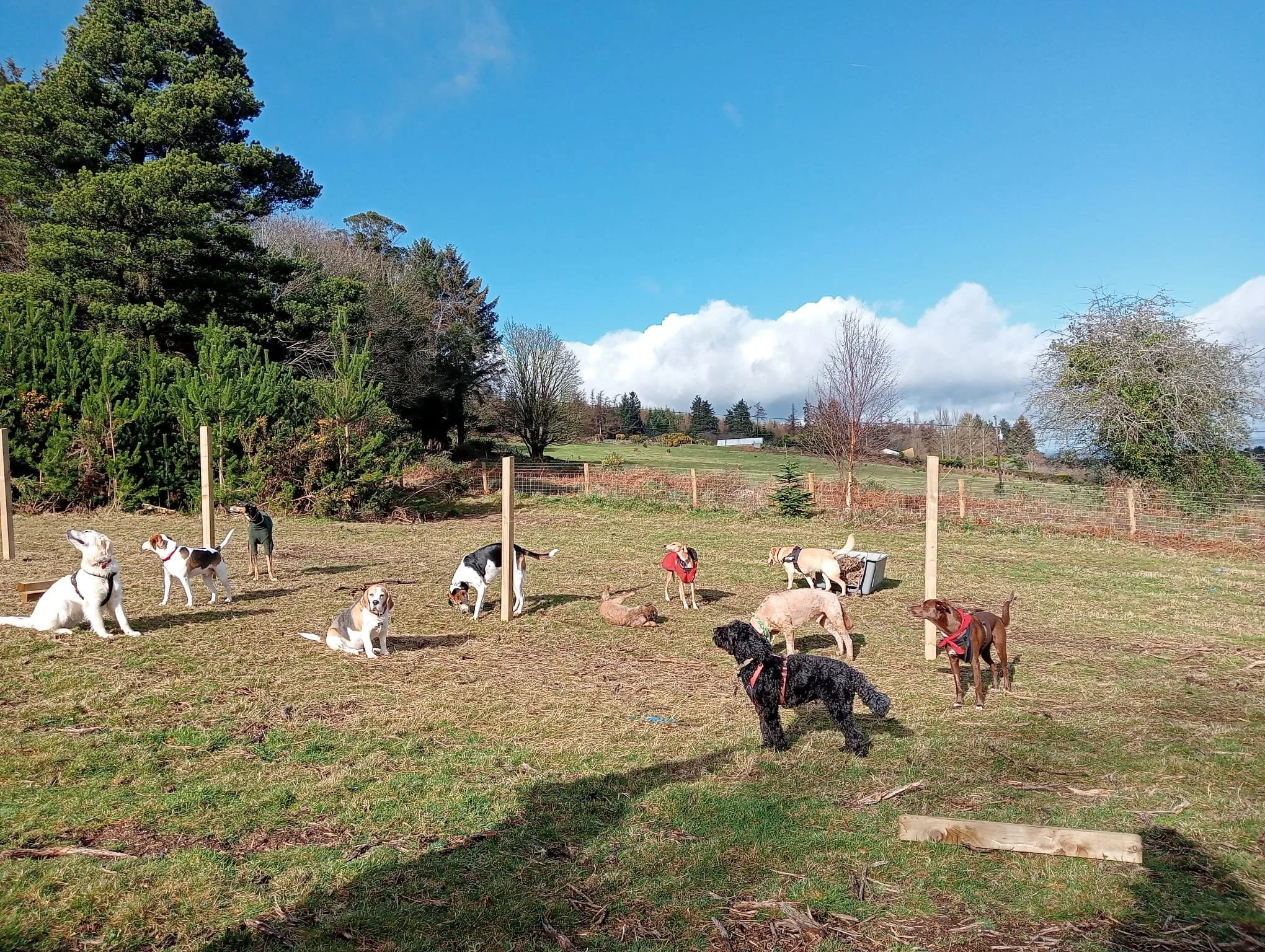 WhatsApp Image 2024-02-21 at 18.15.41.jpeg