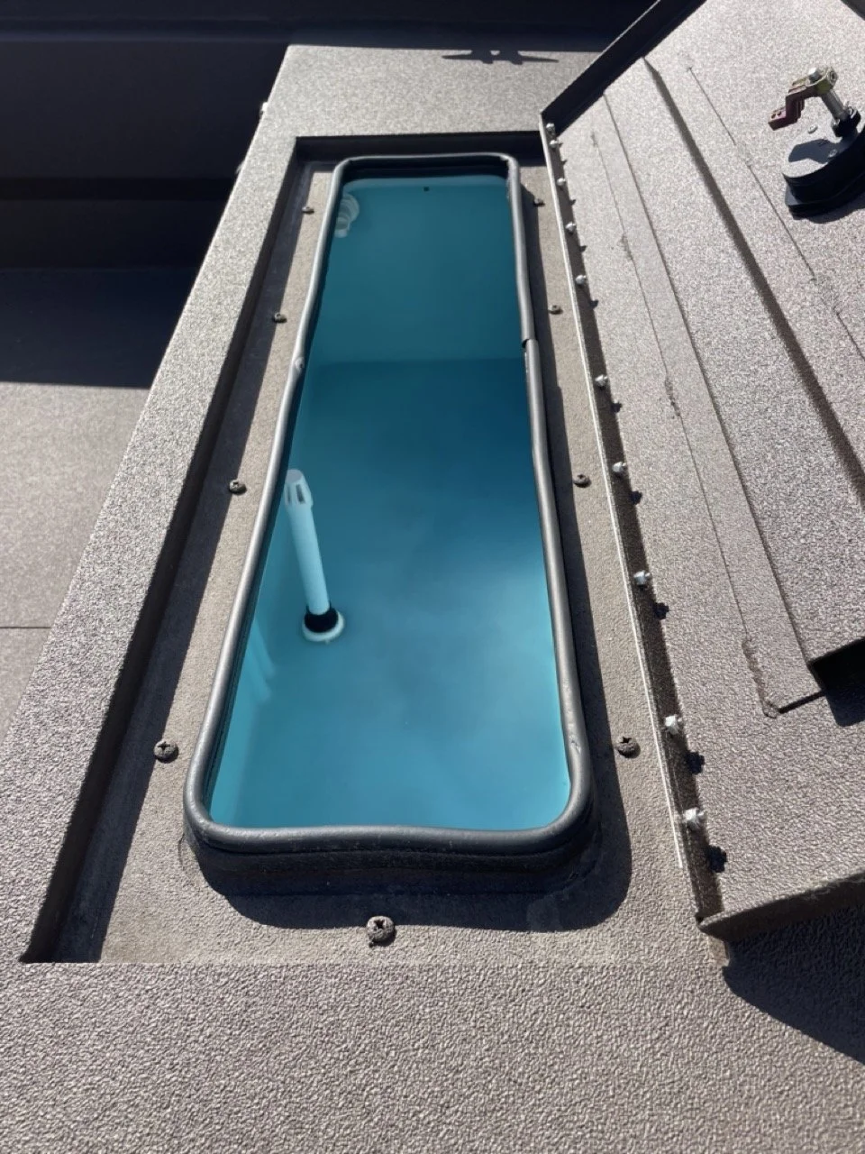 78967805724__A86B5C9A-E0CA-40C6-962F-F5D50F5B3867 Large.jpeg