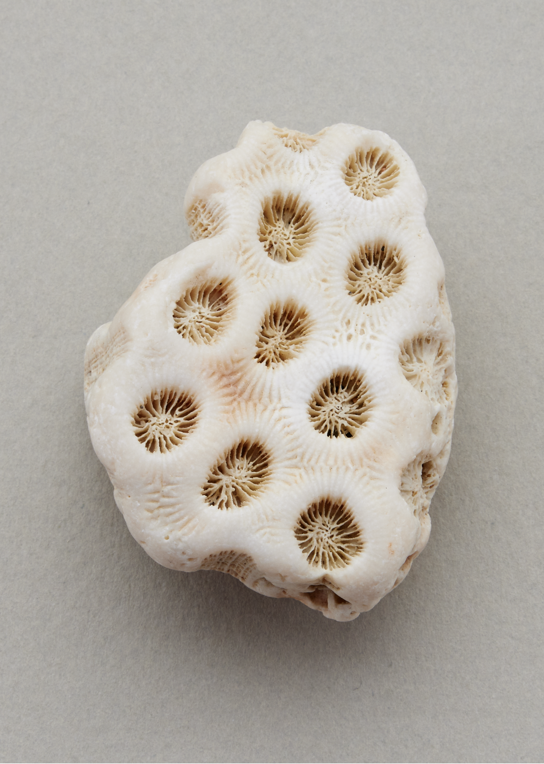 Screen Shot 2026-03-06 at 3.11.16 PM.png