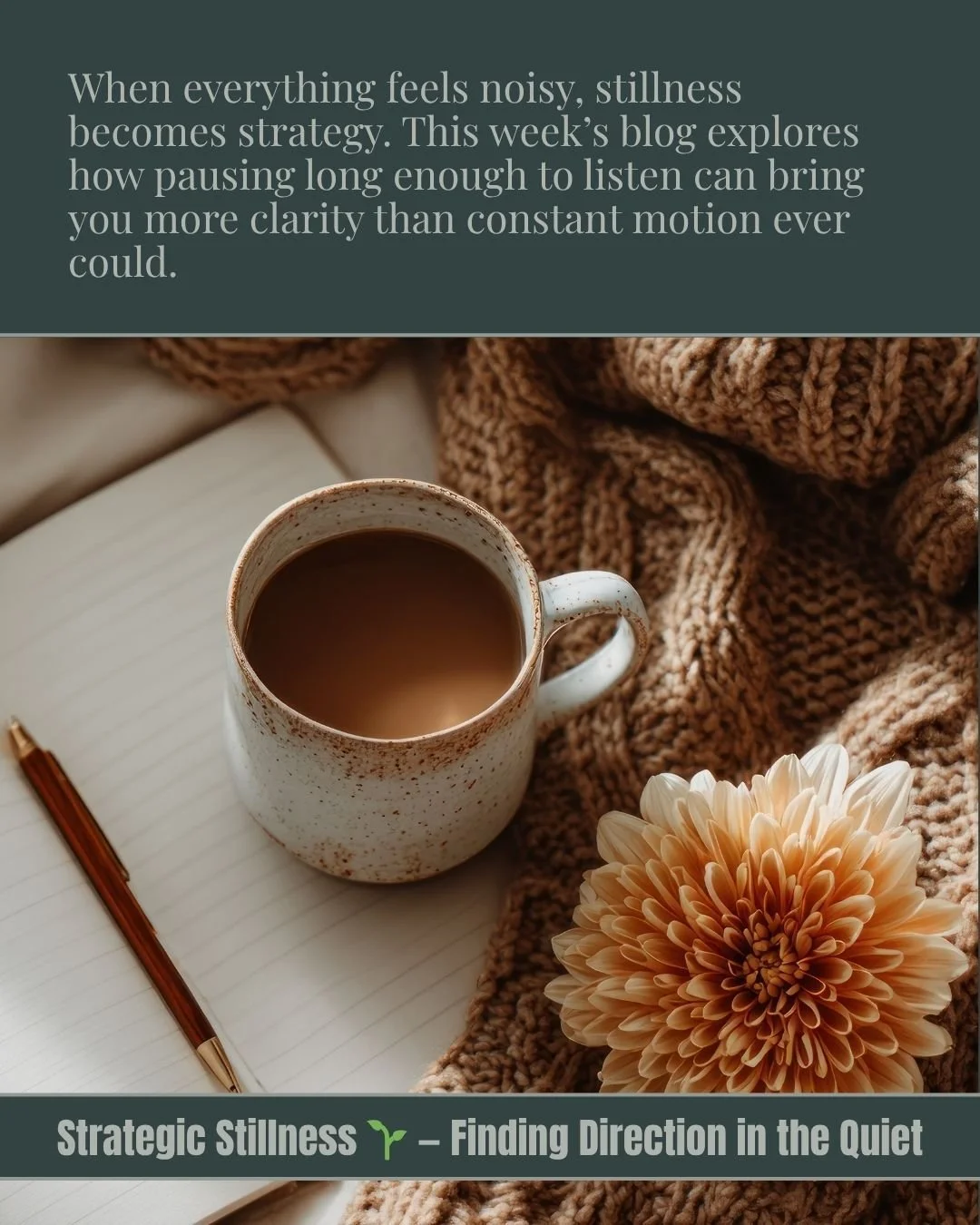 This week, we’re continuing our Rooted Momentum series with something most entrepreneurs struggle to do — pause.
Because sometimes the most strategic thing you can do is stop.
Stillness isn’t laziness; it’s leadership. It&rs