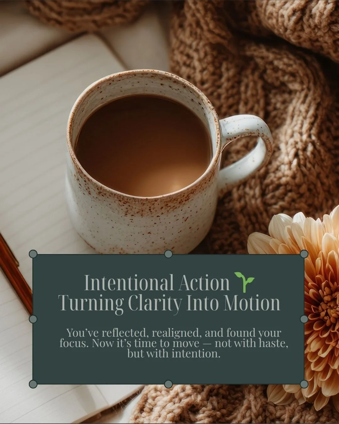 This week marks the final post in our Rooted Momentum series — and it’s all about translating clarity into confident, grounded movement.
You’ve done the inner work. You’ve refined your systems and found stillness in the chaos