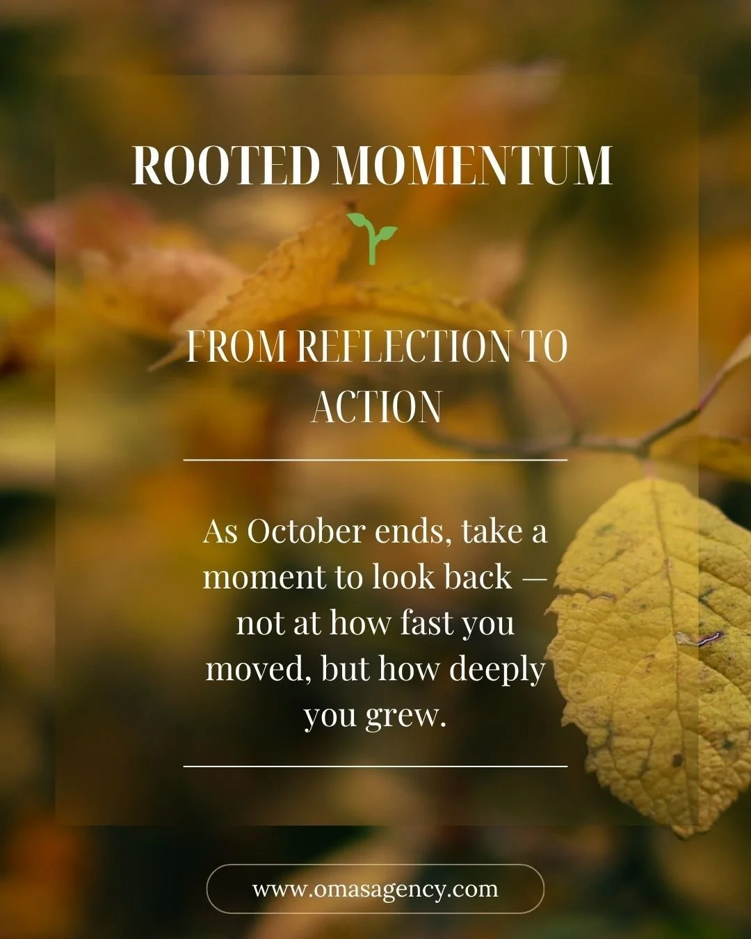 This month was about slowing down, finding stillness, and rebuilding from the roots up.
Through Rooted Momentum, we explored:
✨ Grounded Growth
✨ Strategic Stillness
✨ Intentional Action

And now, as we close October, remember: you don&rsquo;t have t