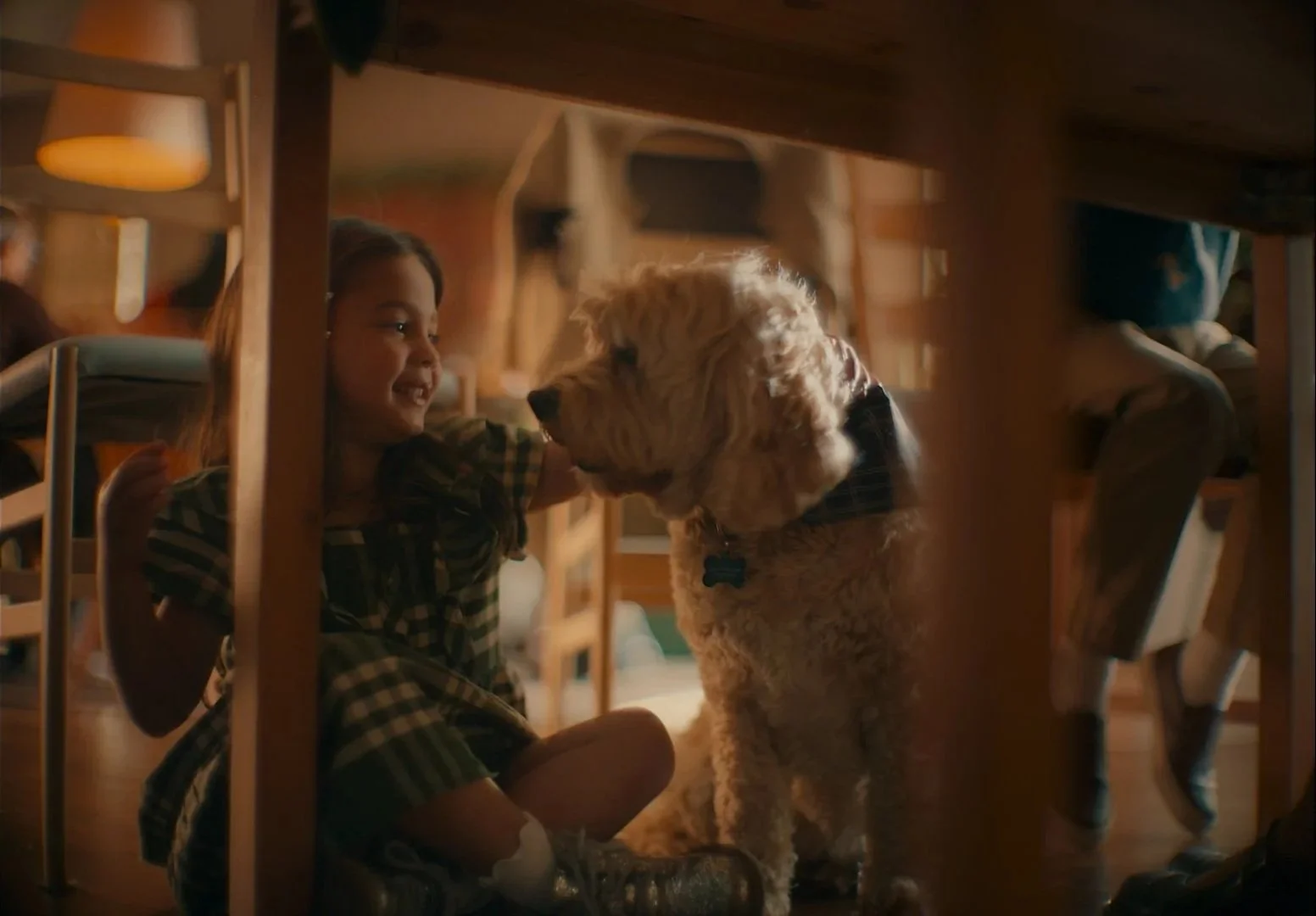 A young girl and a large dog sharing a moment under a dining table.