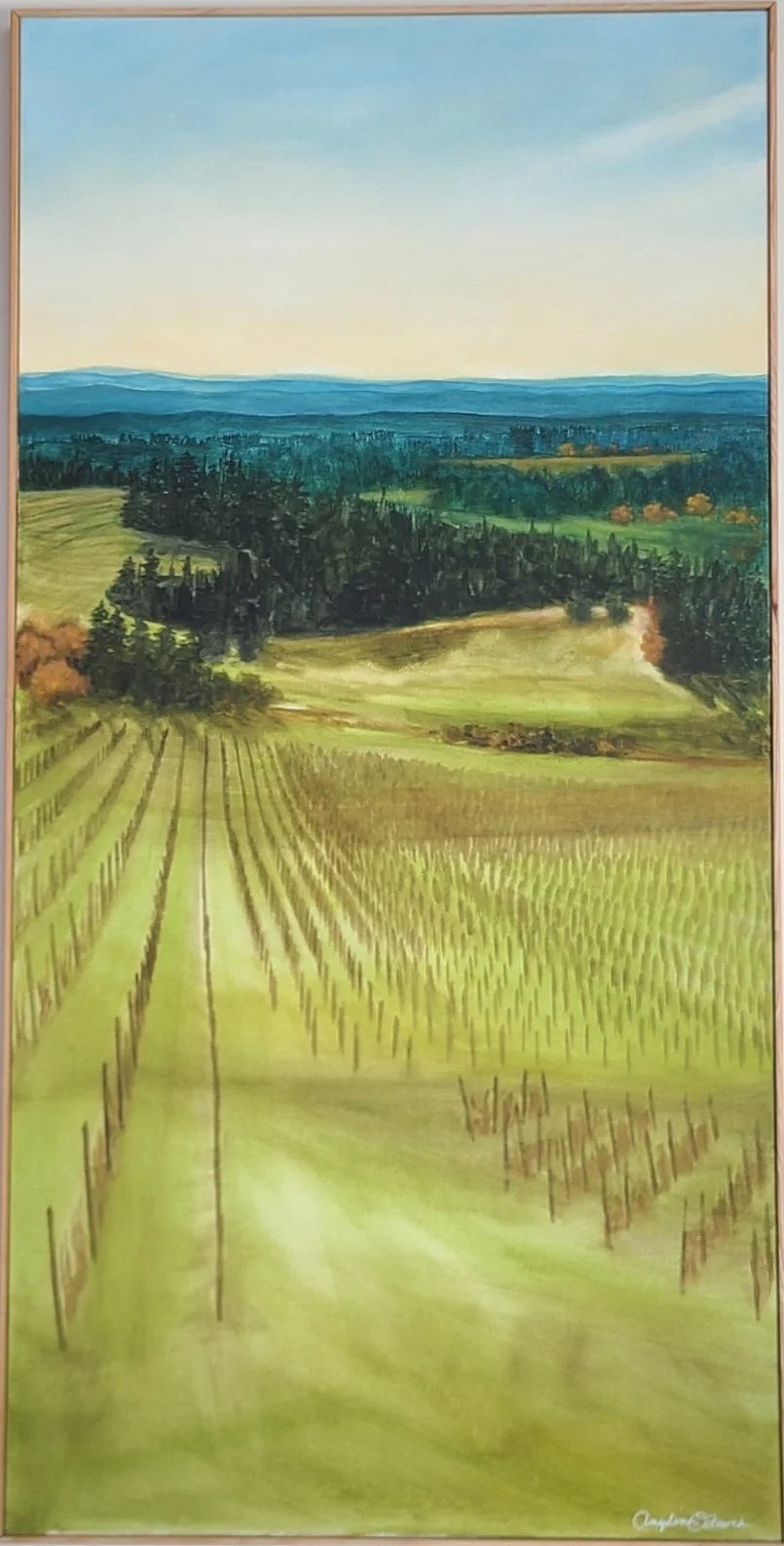 Jachter Family Wines view