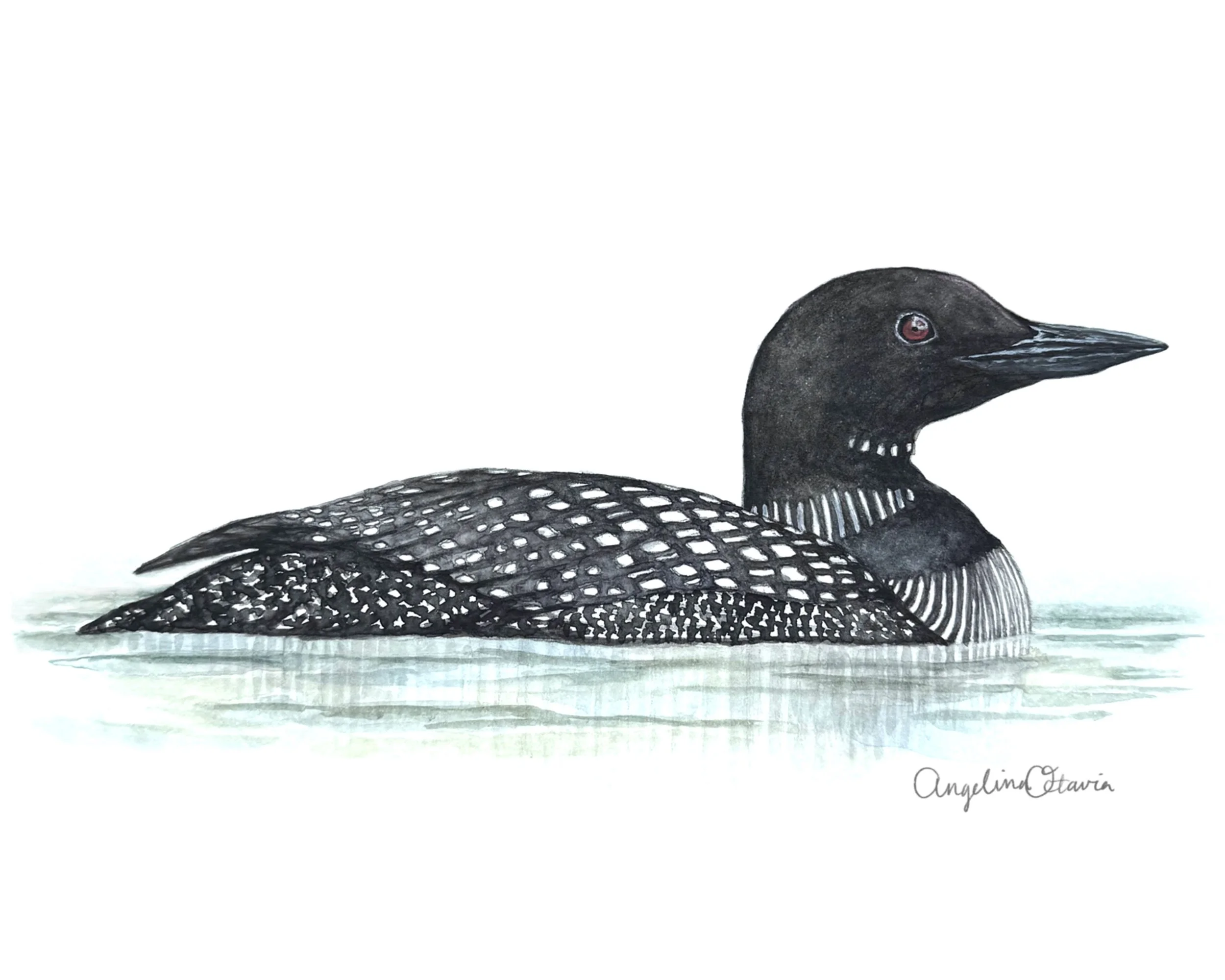 Loon card