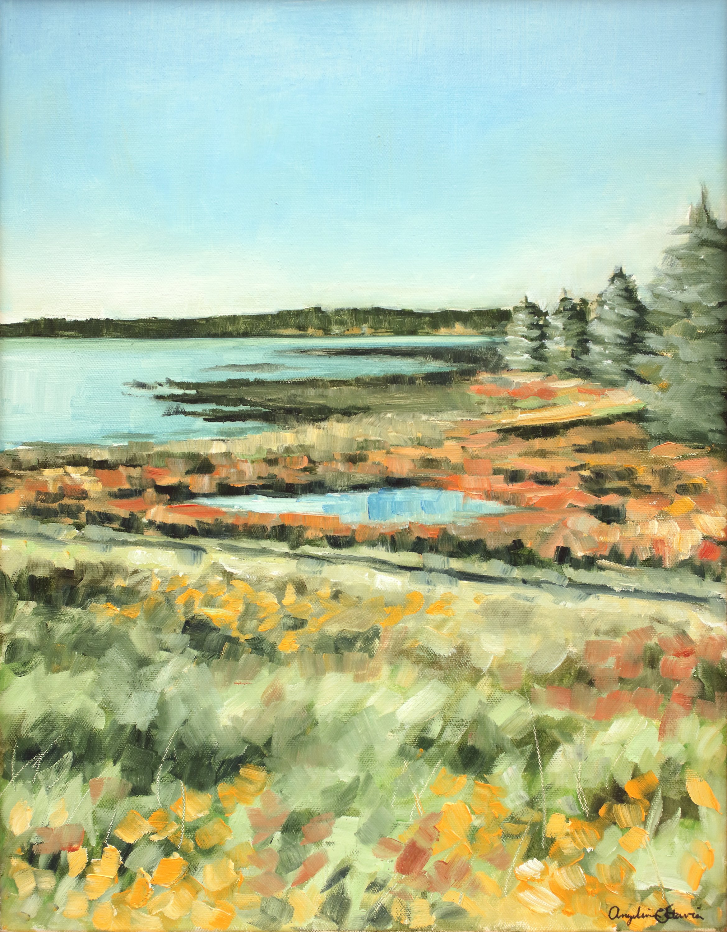 AK_marshland_RGB_small.jpg