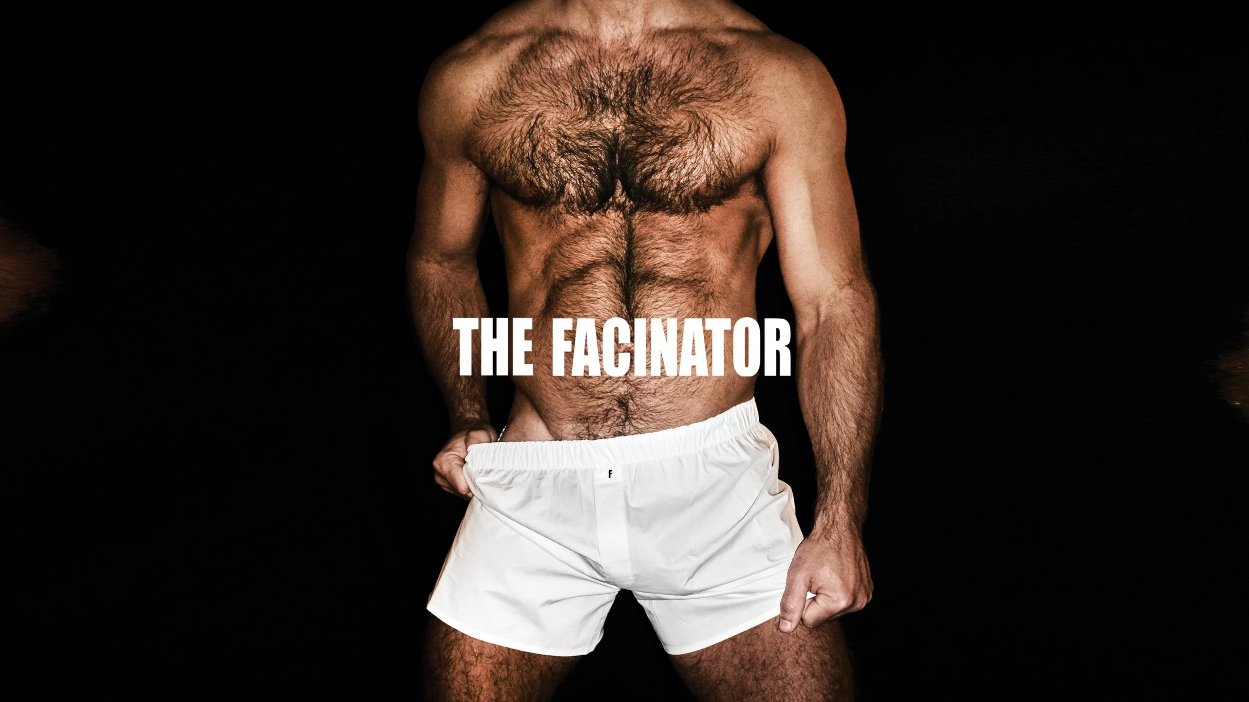 portfolio images - BB Facinator case study.jpg