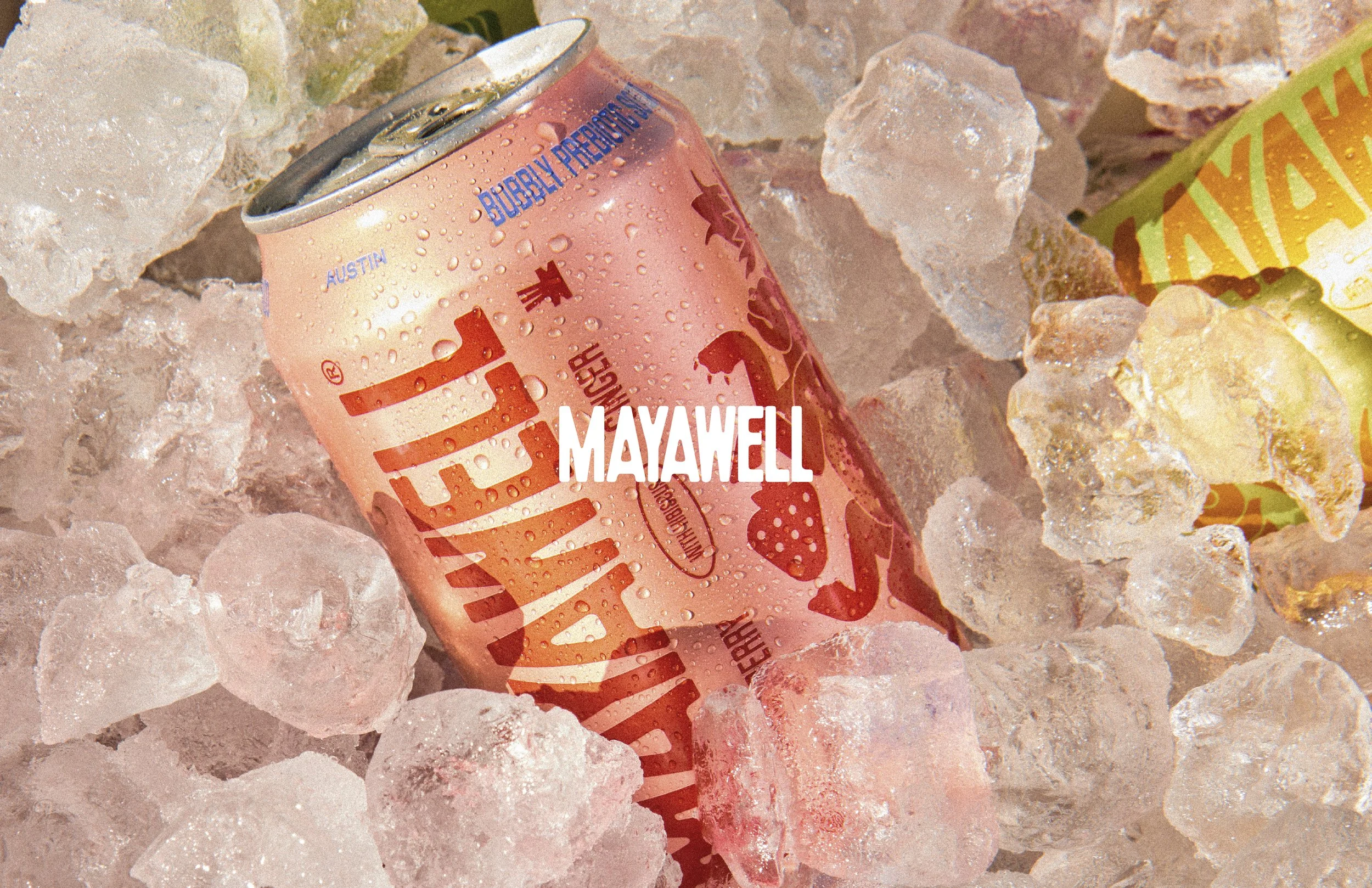 MAYAWELL presentation-6.jpg