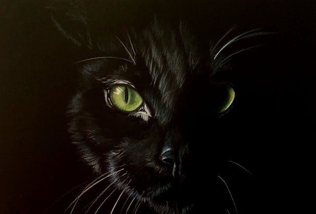 Black Cat Wanda.jpg
