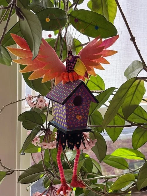 bird 5.jpeg