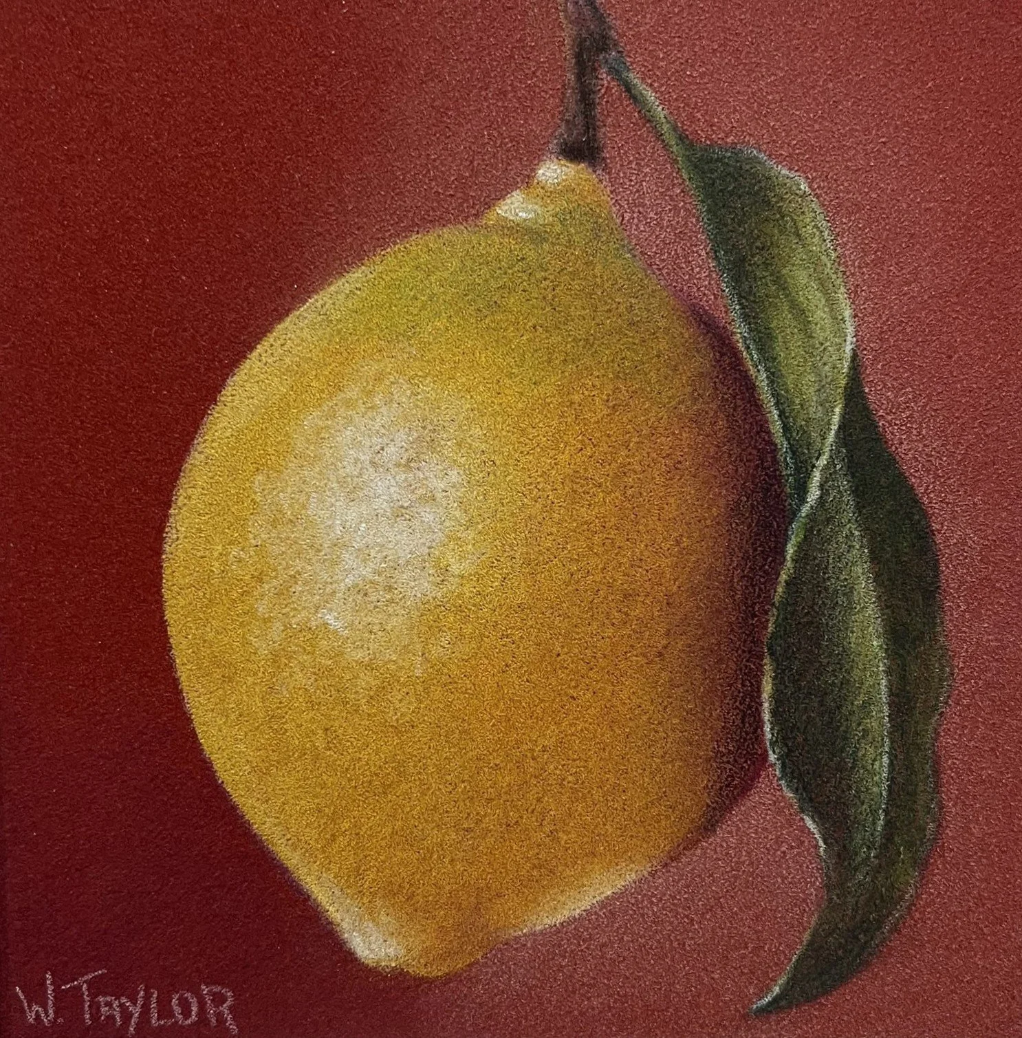 Yellow Lemon on Red Background