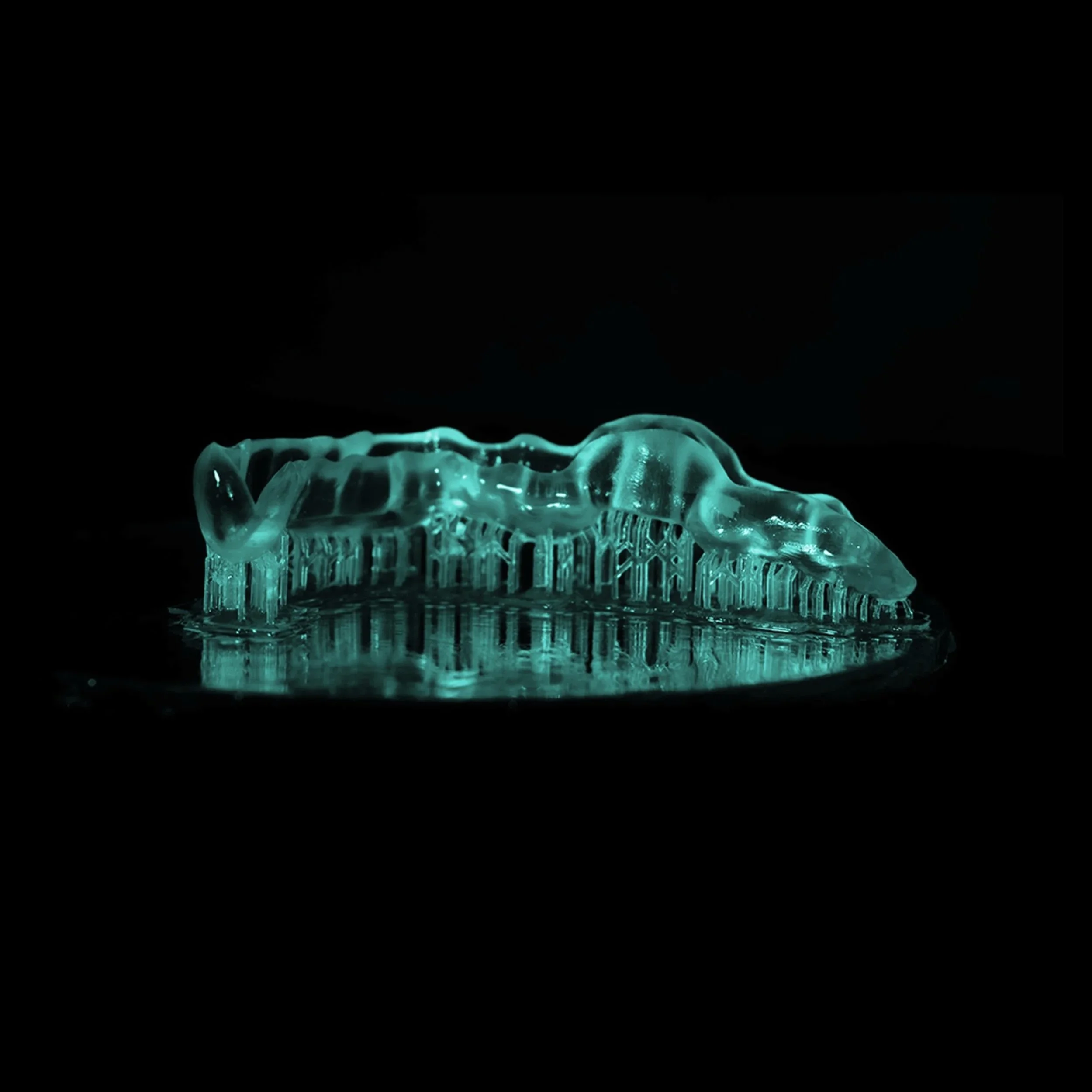 Vorlage aus dem 3D-Drucker